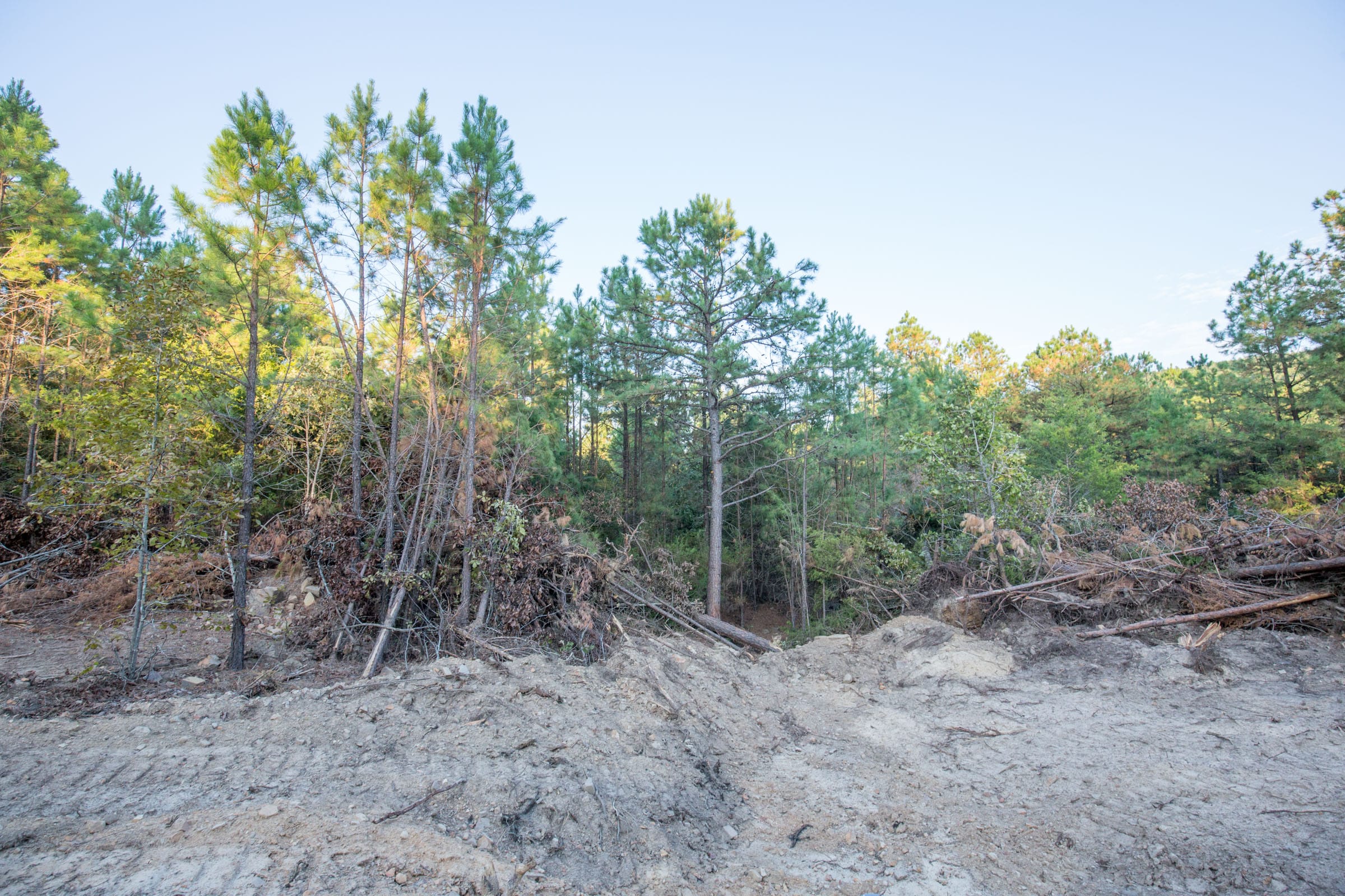 Stone Bridge Phase I Tract 65 photo 17
