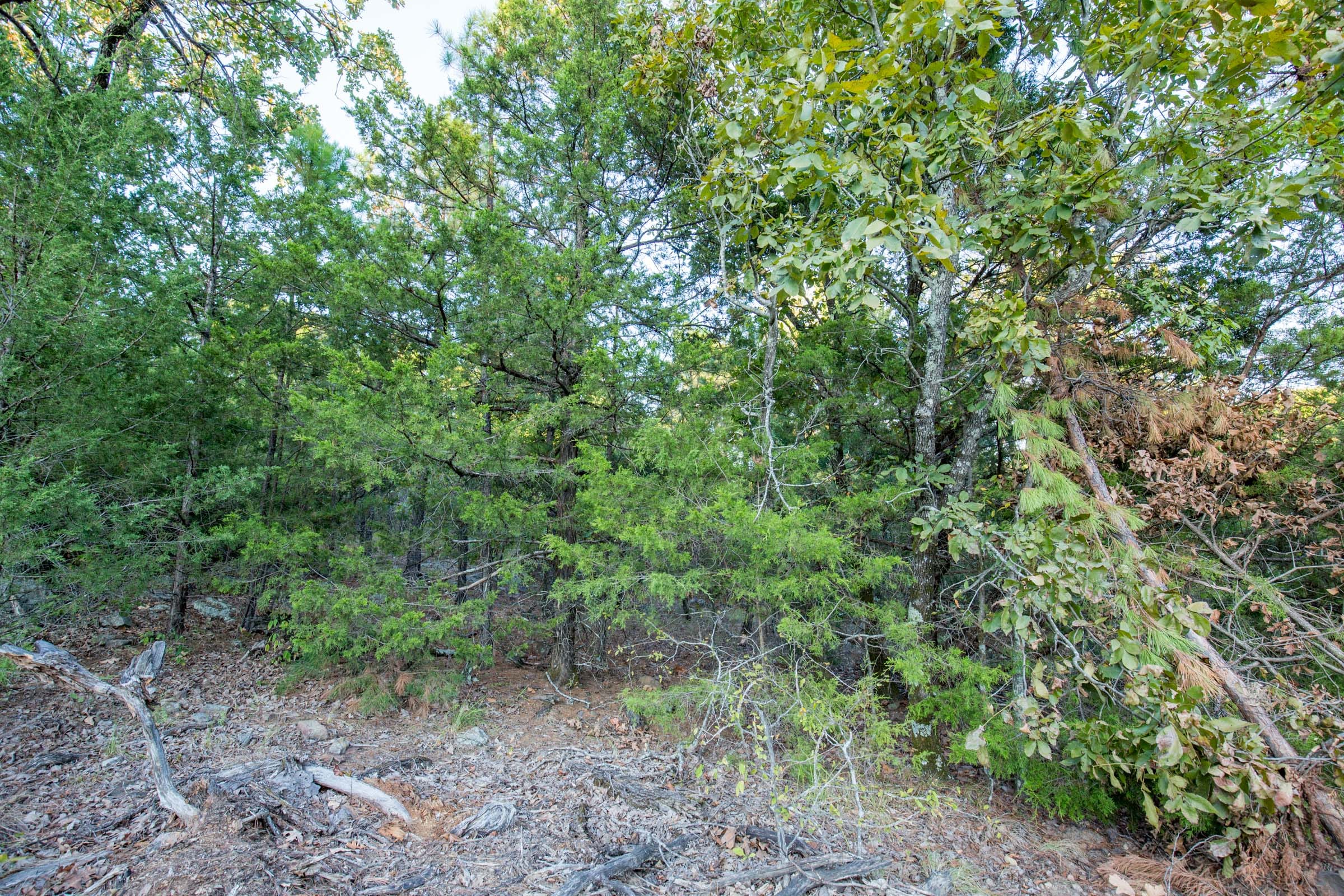 Stone Bridge Phase I Tract 65 photo 19