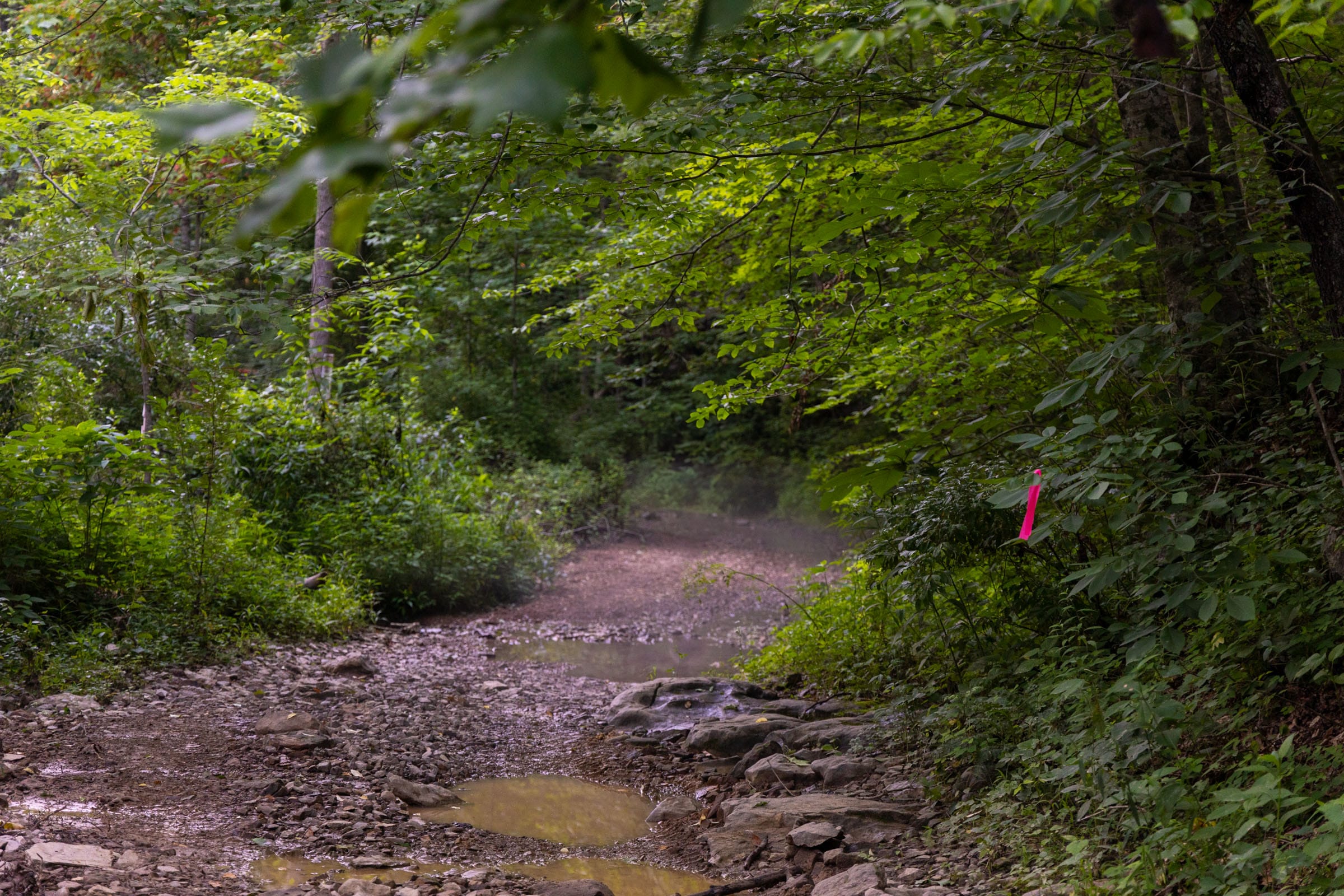 Creek Hollow Phase II Tract 62 photo 5
