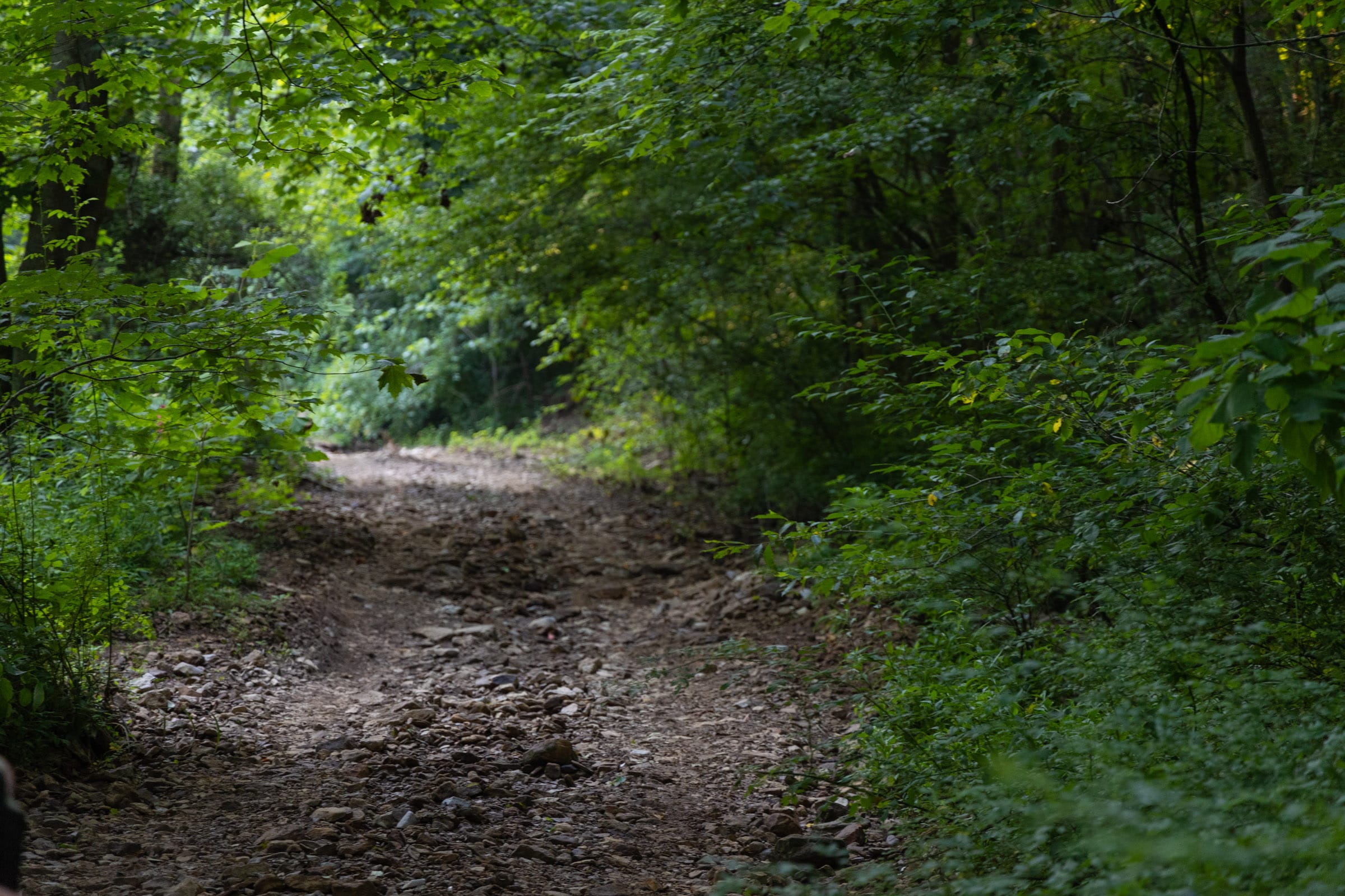 Creek Hollow Phase II Tract 62 photo 1