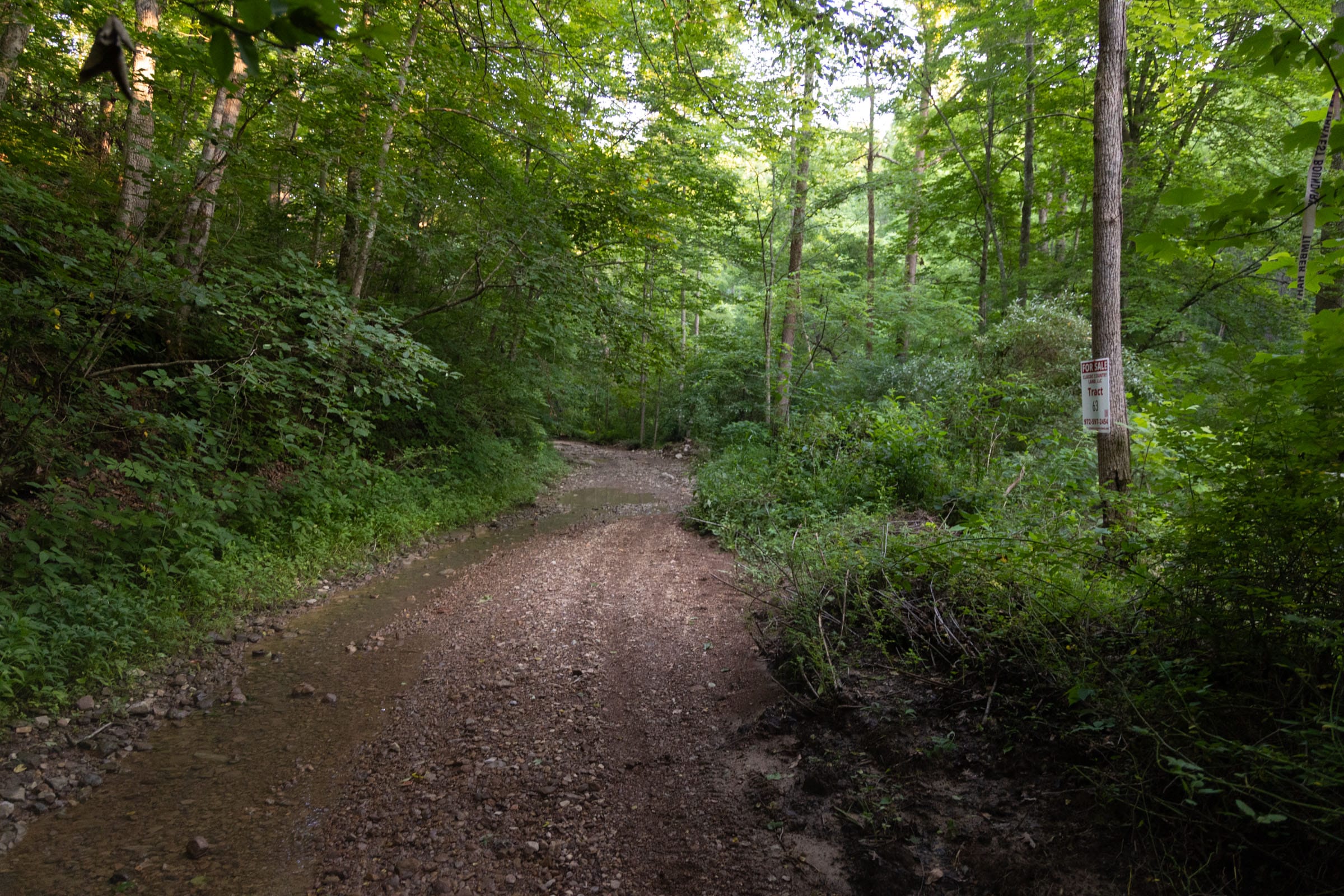 Creek Hollow Phase II Tract 62 photo 9
