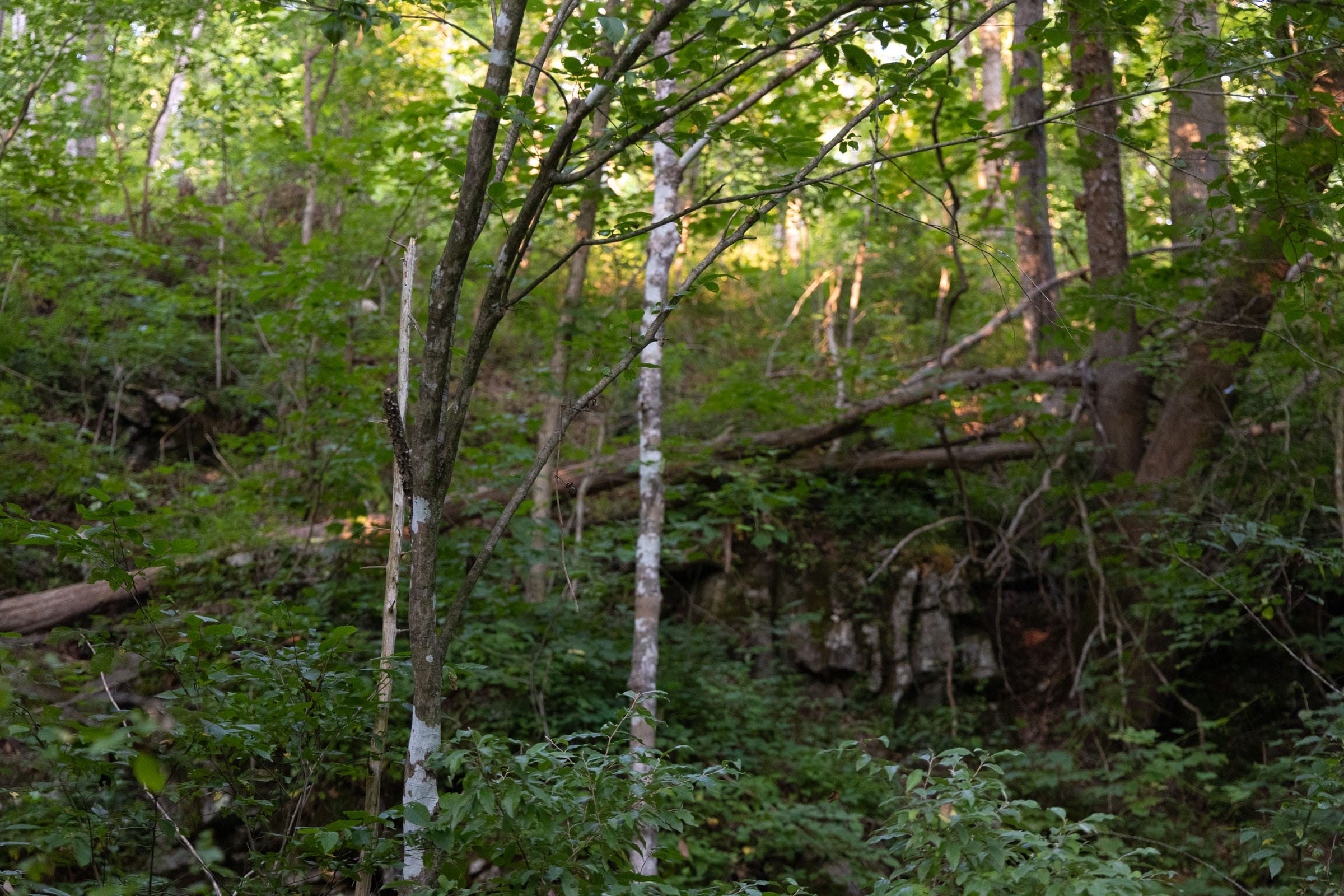 Creek Hollow Phase II Tract 62 photo 6