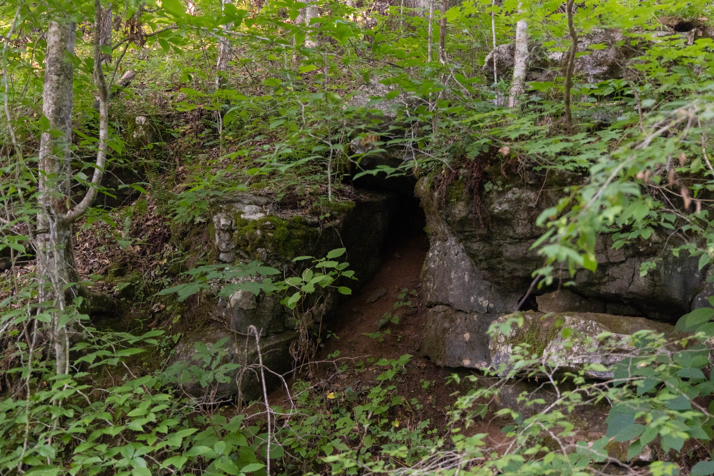 Creek Hollow Phase II Tract 62 photo 2