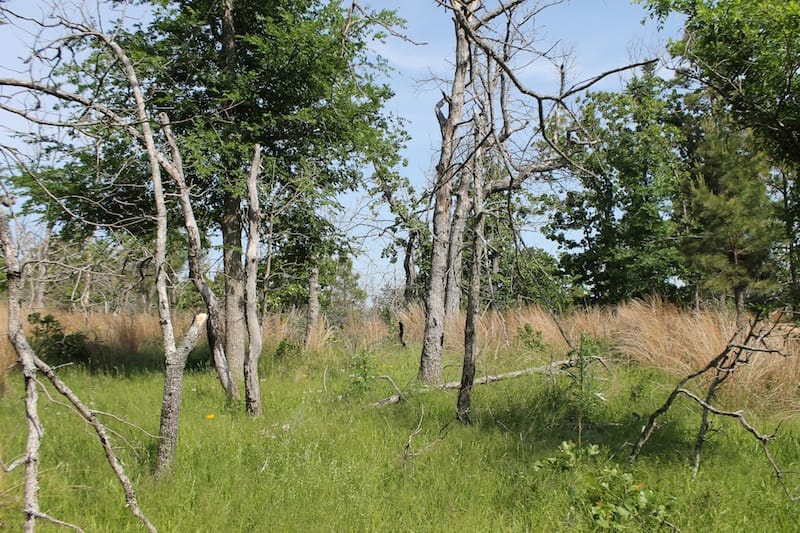 Indian Ridge – Phase II Tract 79 photo 6