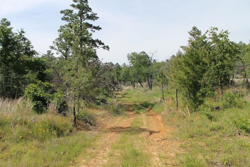 Indian Ridge – Phase II Tract 79 photo 1