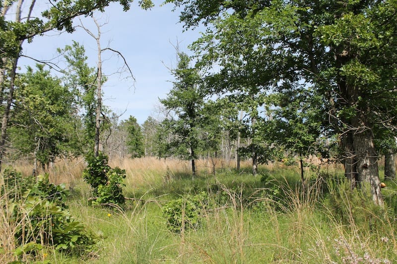 Indian Ridge – Phase II Tract 79 photo 7