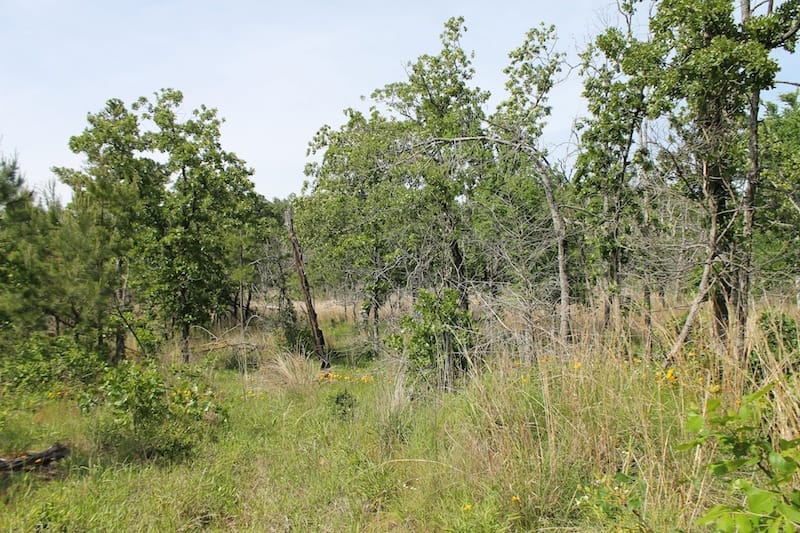 Indian Ridge – Phase II Tract 79 photo 8