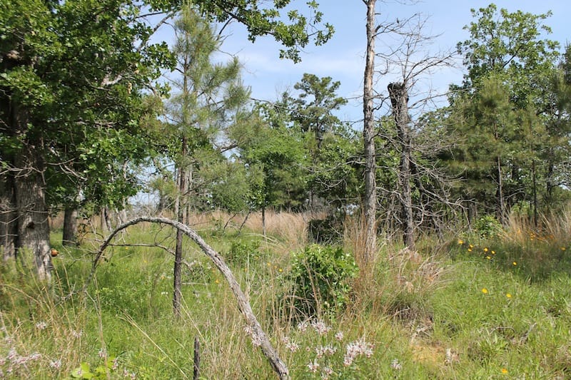 Indian Ridge – Phase II Tract 79 photo 9