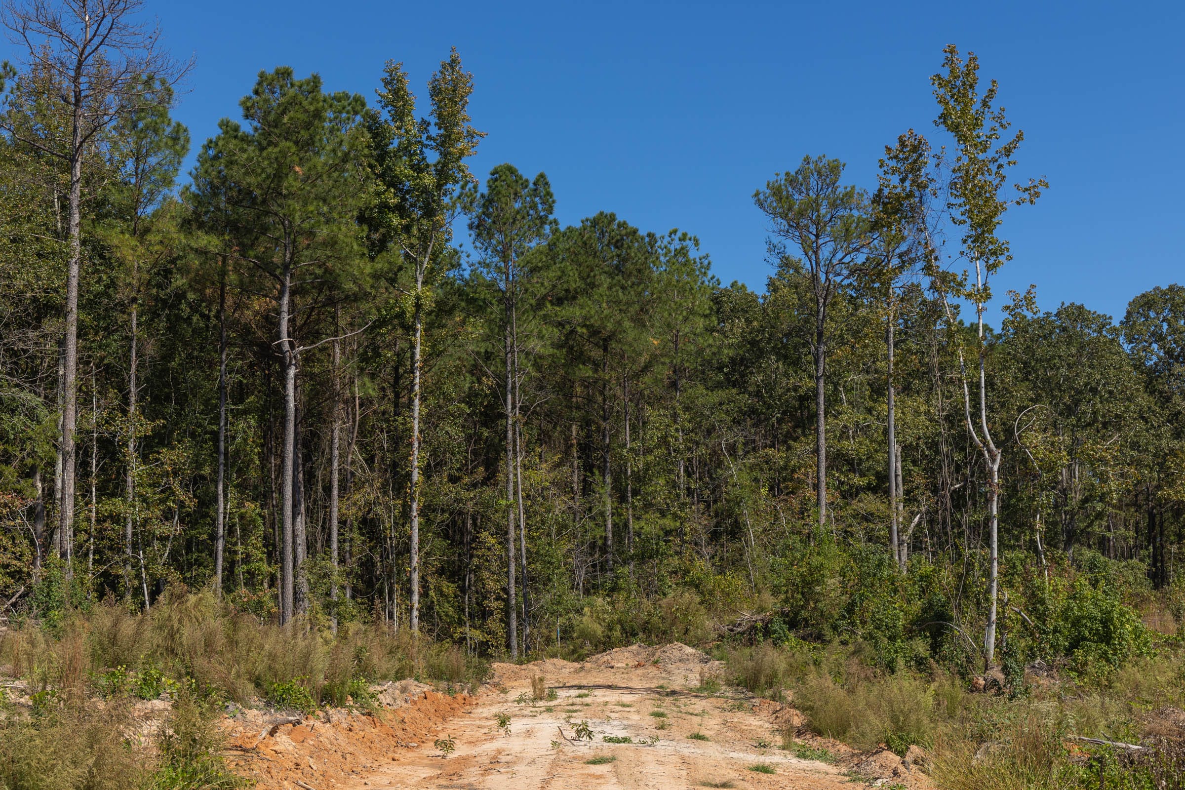 Meyer’s Ridge Tract 17 photo 8