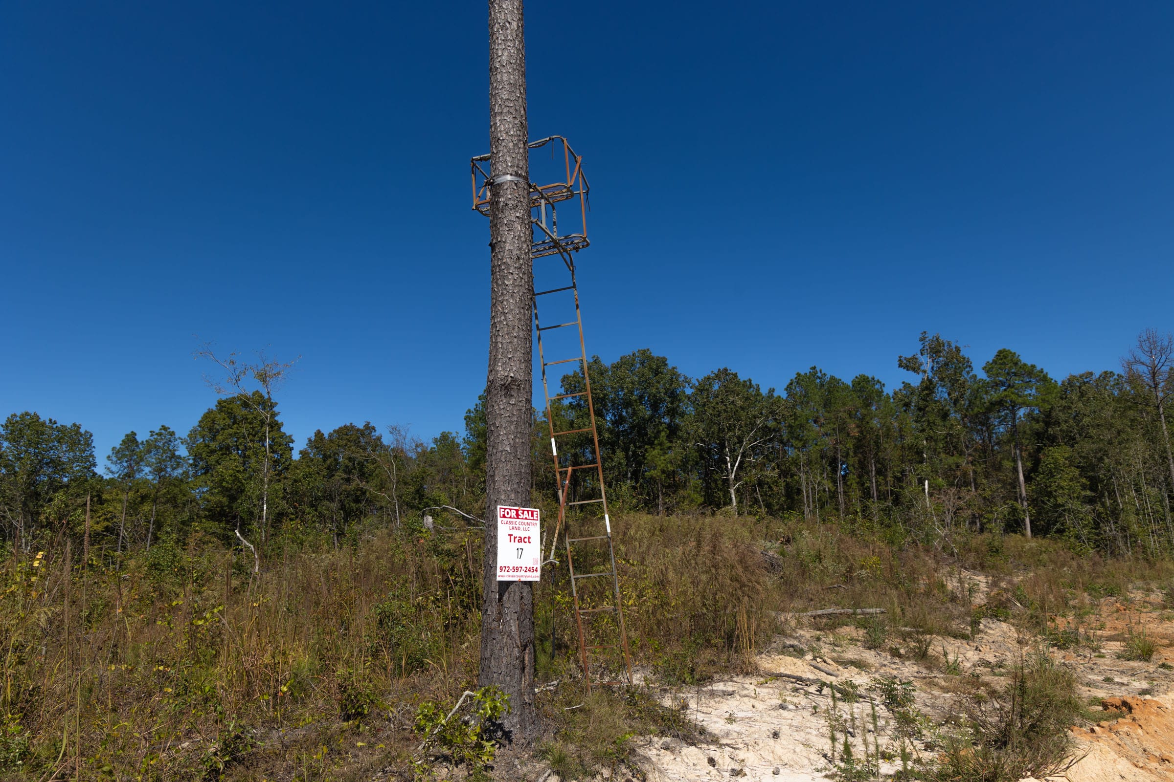 Meyer’s Ridge Tract 17 photo 7