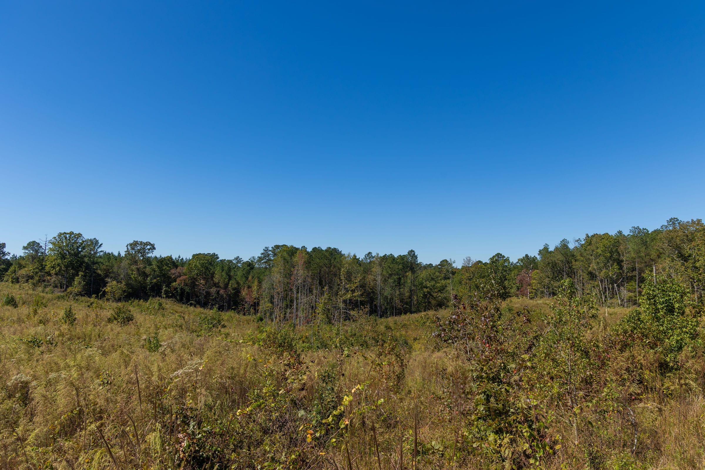 Meyer’s Ridge Tract 17 photo 6