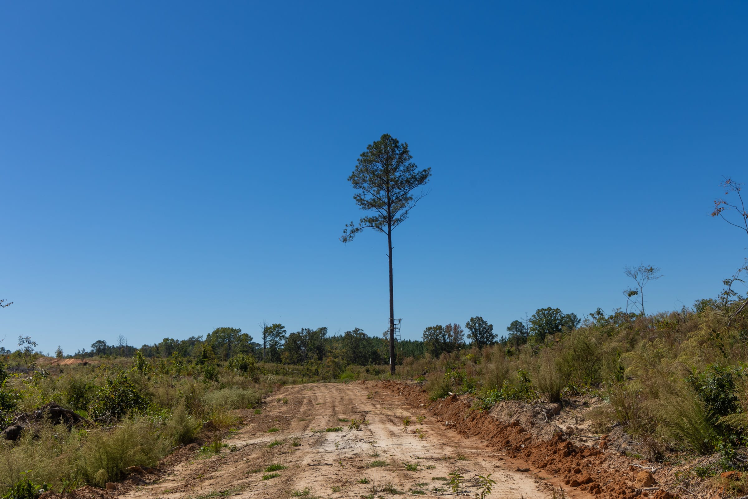 Meyer’s Ridge Tract 17 photo 5