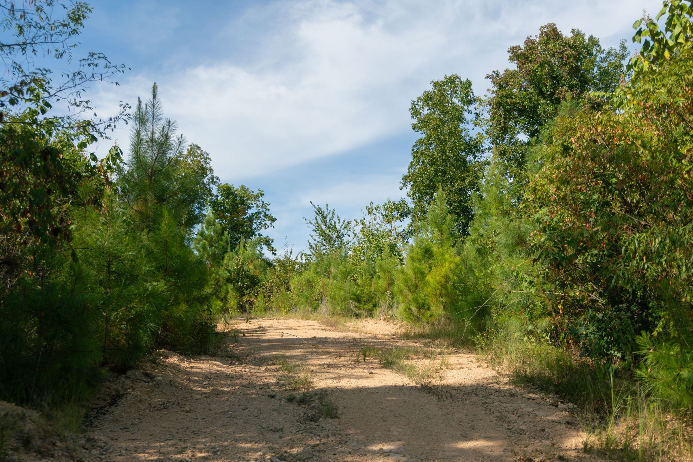 Big White Oak Tract 39 photo 9