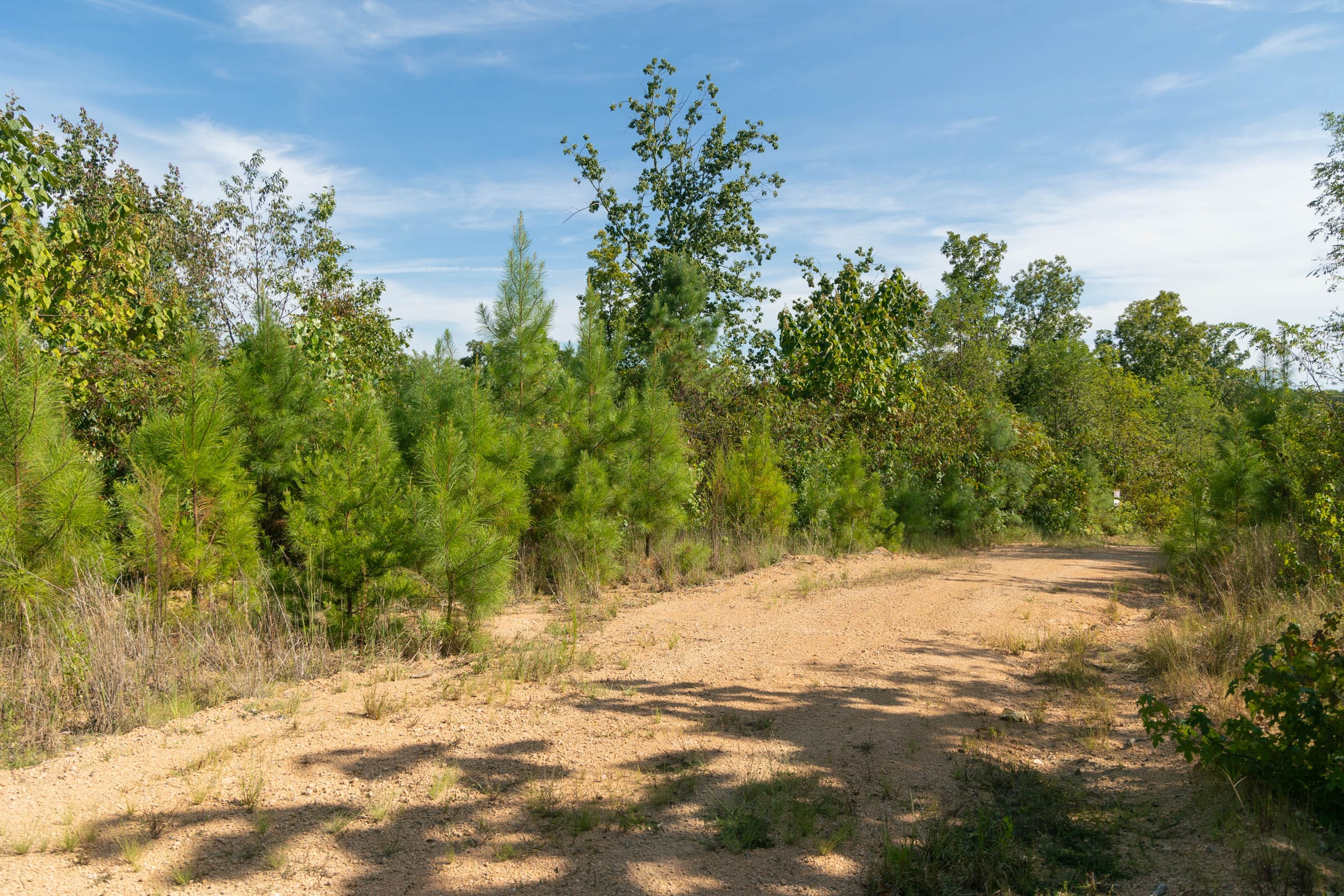 Big White Oak Tract 39 photo 4