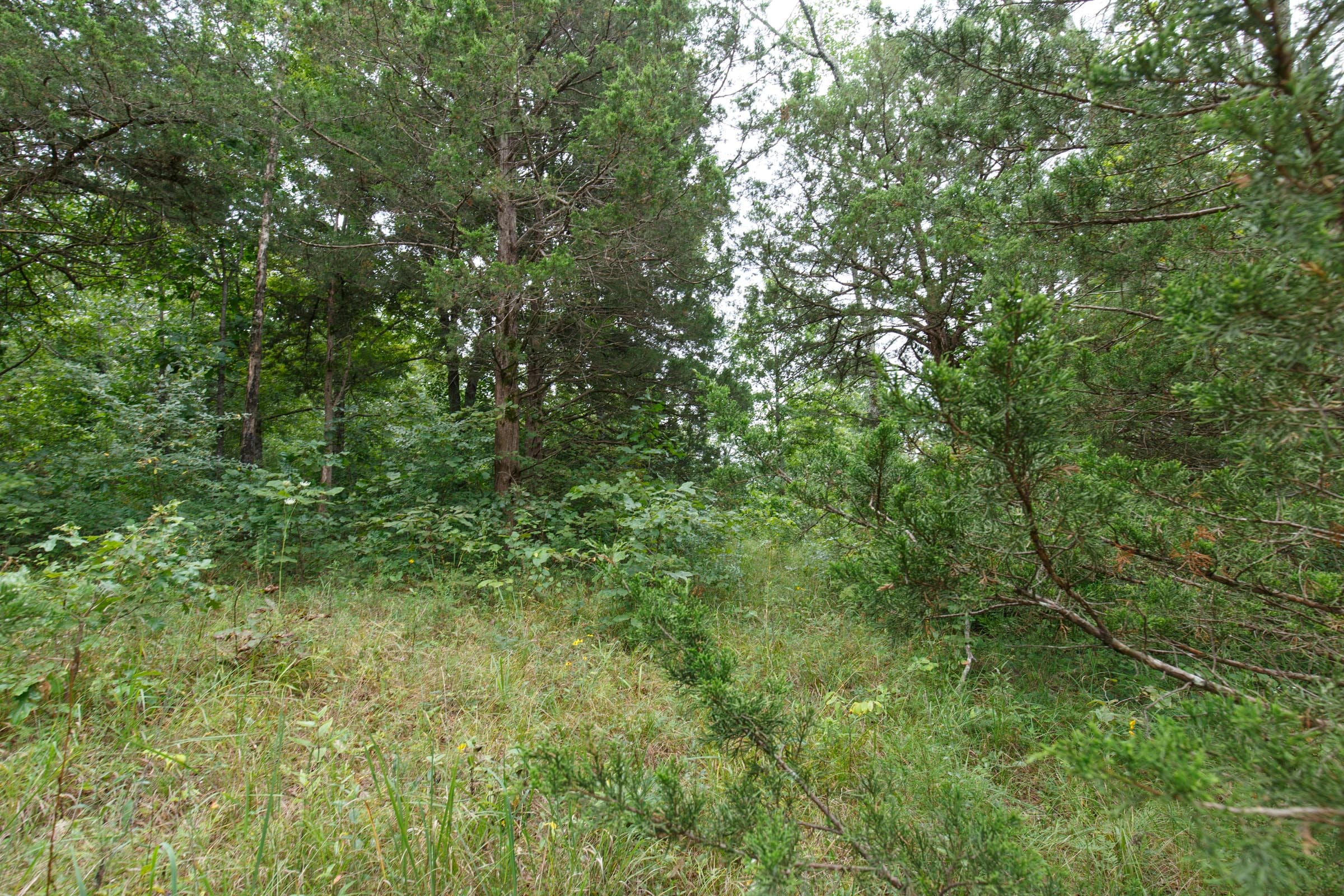 Spring Lake Plat 5 Tract 177 photo 5