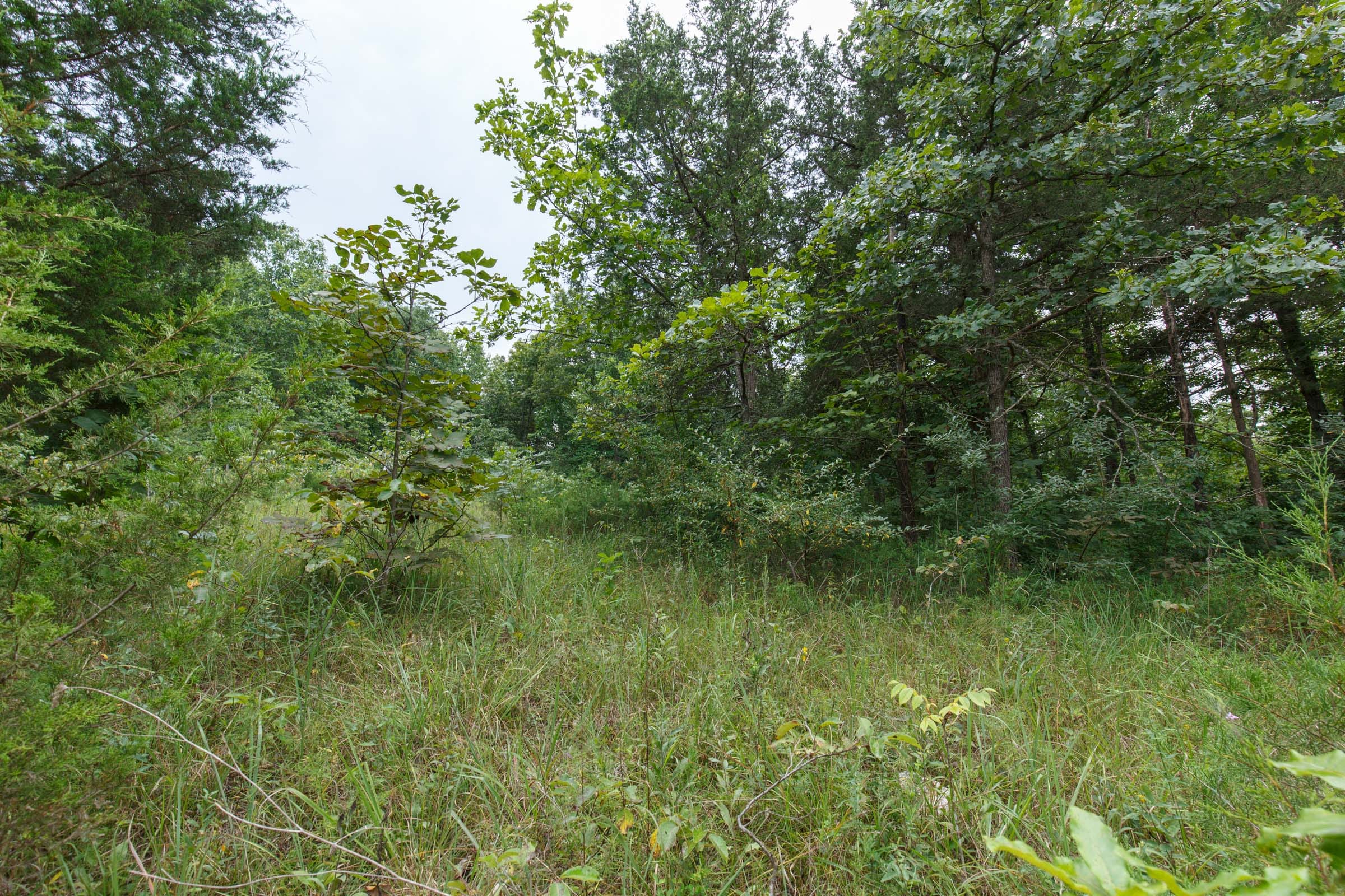 Spring Lake Plat 5 Tract 177 photo 2