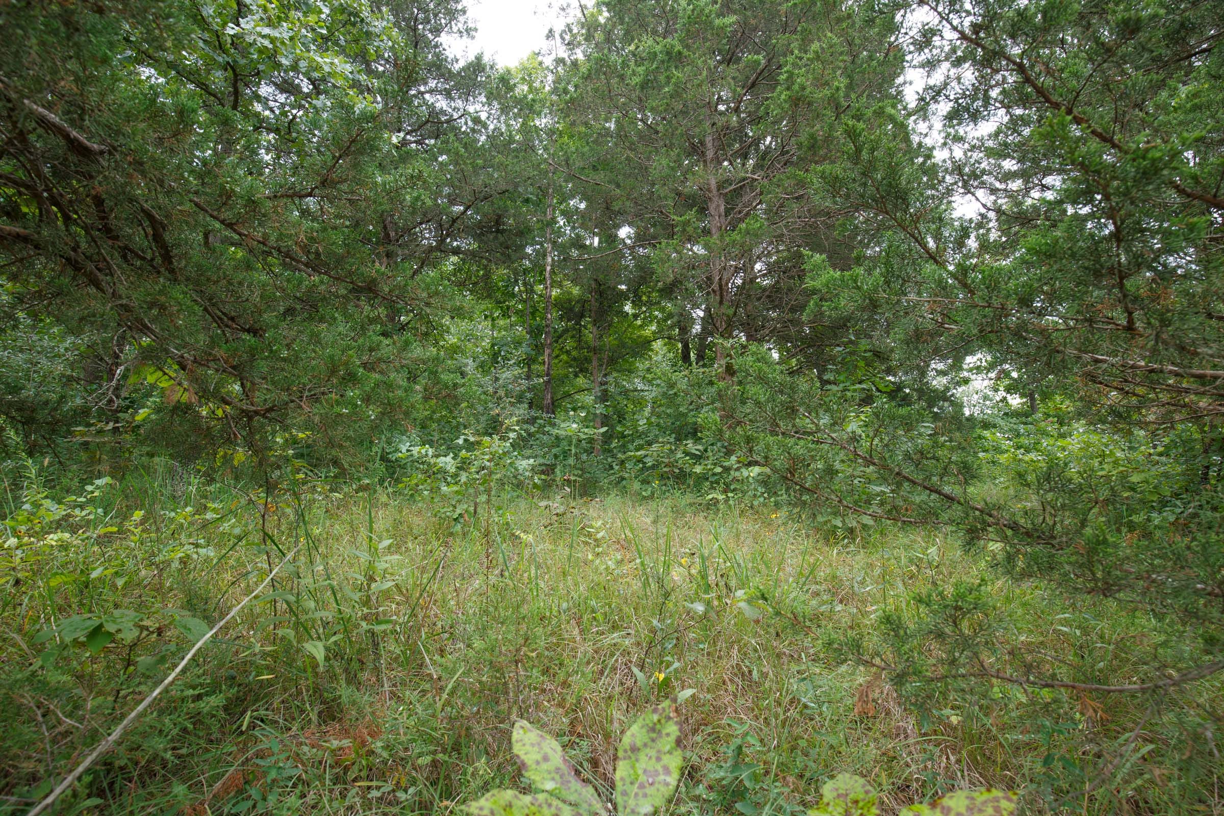 Spring Lake Plat 5 Tract 177 photo 3