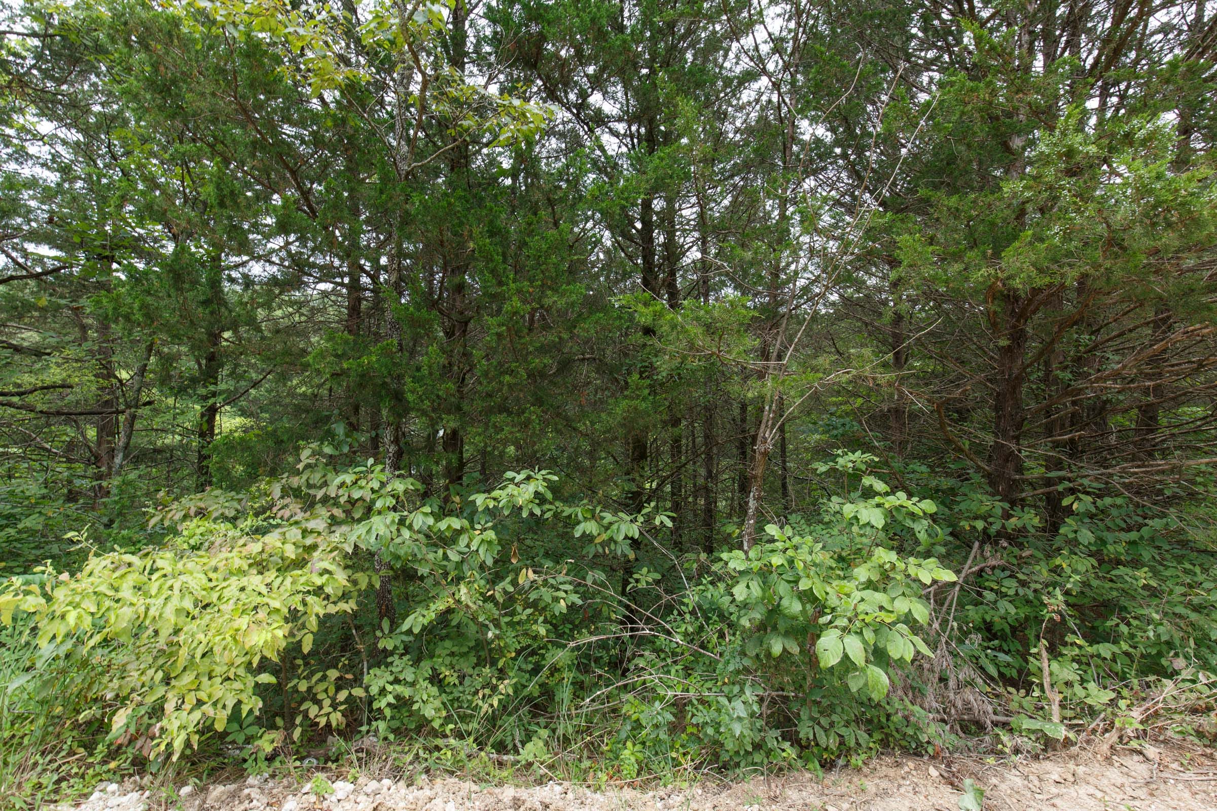 Spring Lake Plat 5 Tract 177 photo 6
