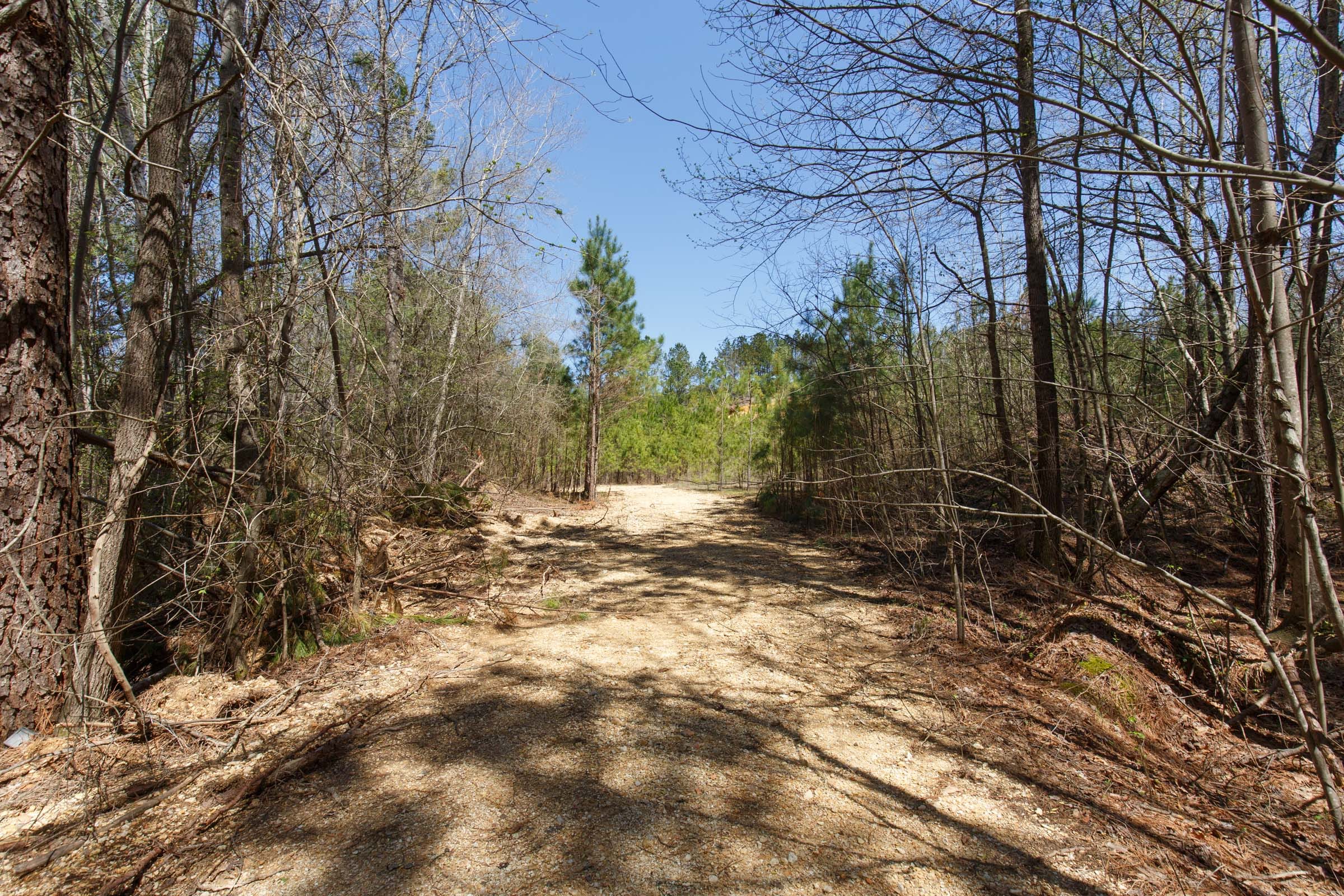 Southern Hills Tract 20 photo 2