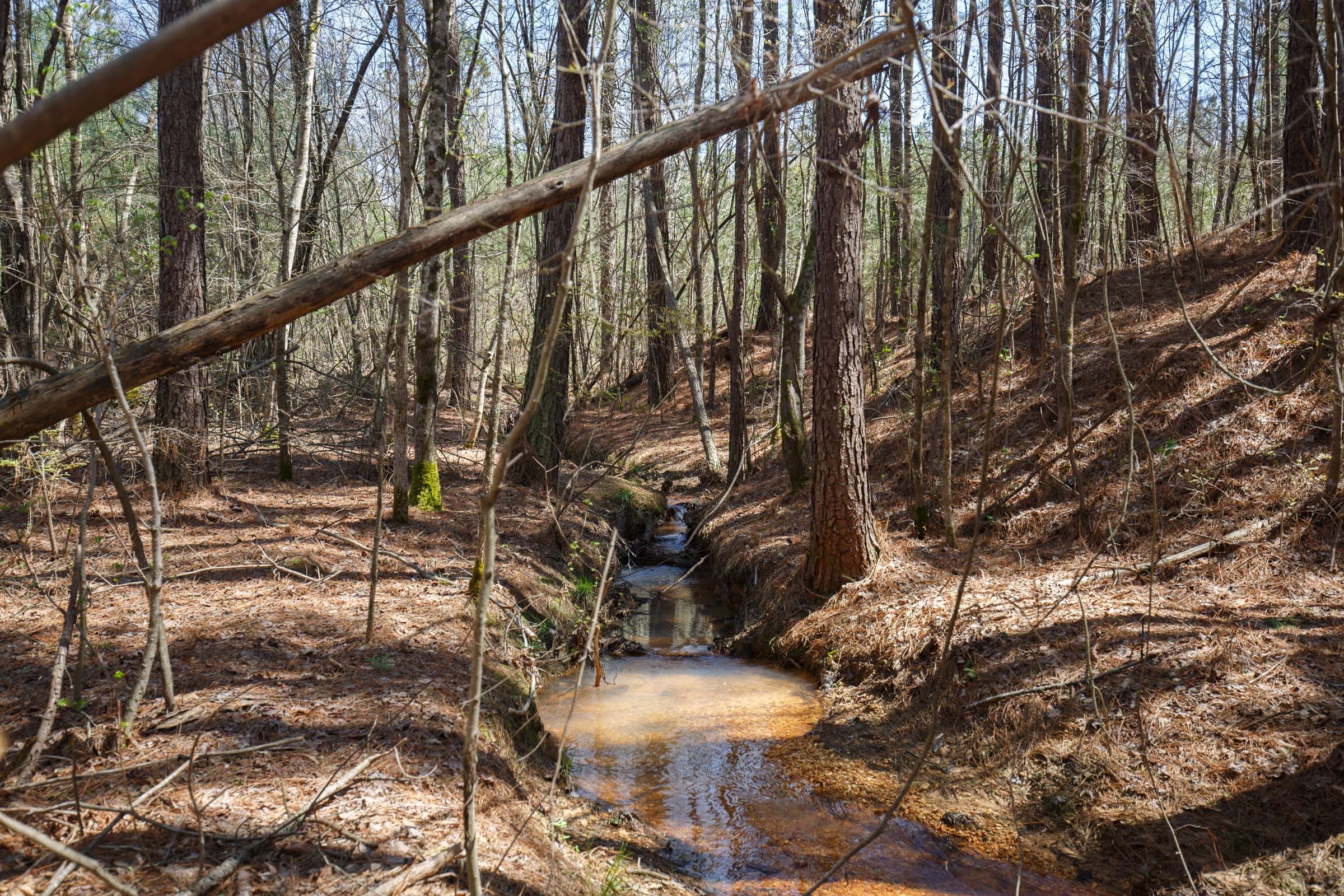 Southern Hills Tract 20 photo 3