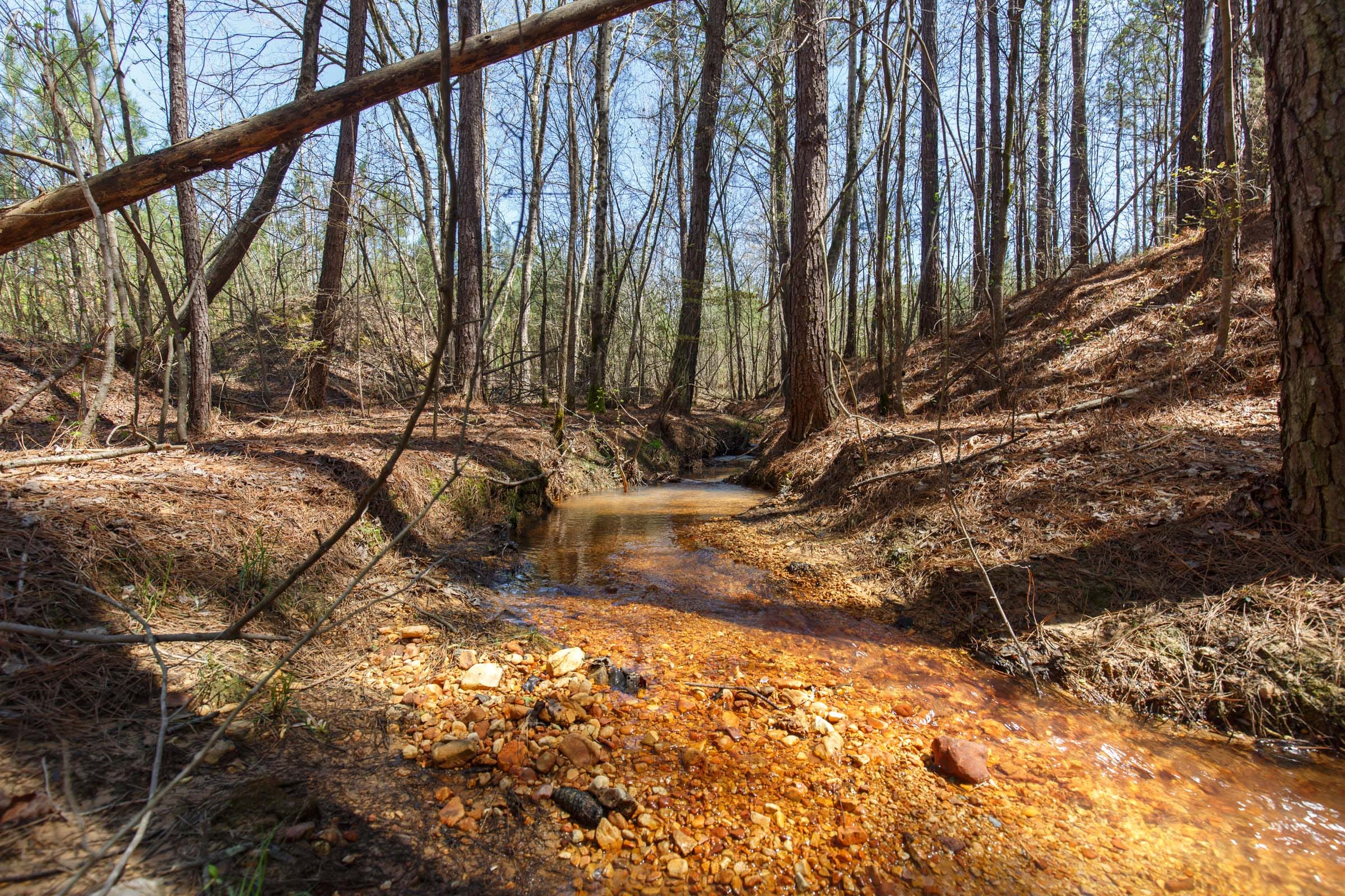 Southern Hills Tract 20 photo 4
