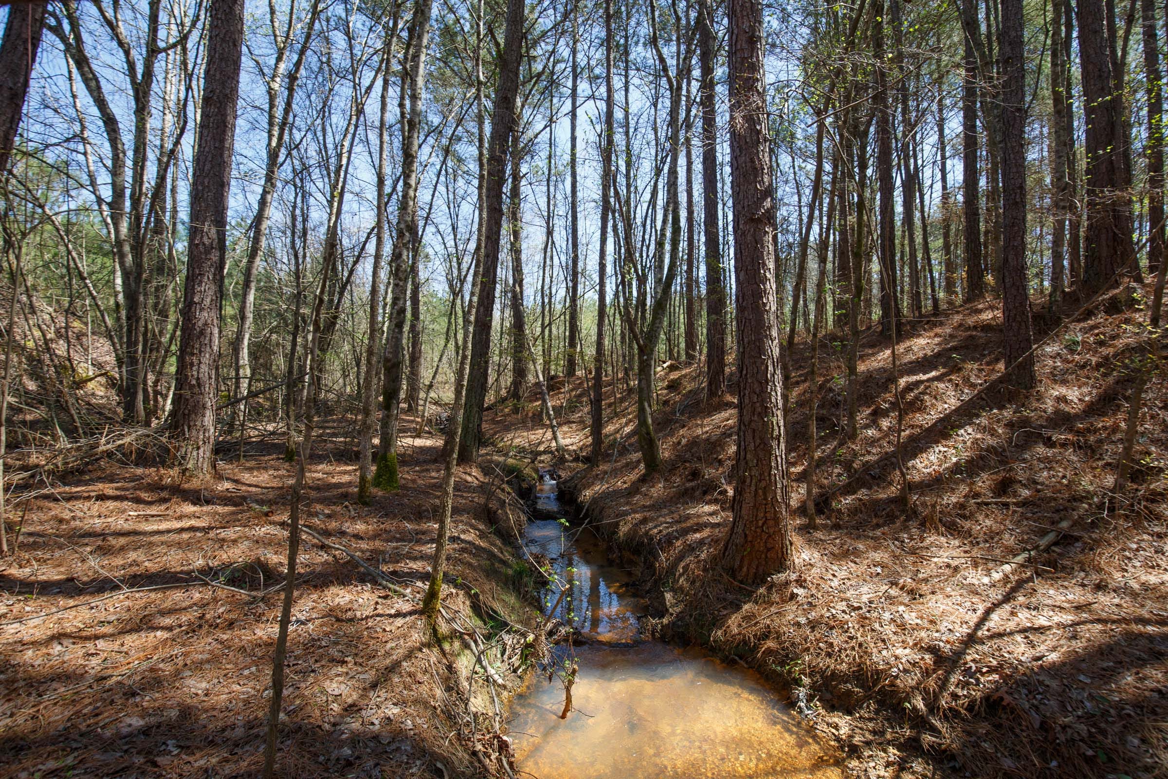 Southern Hills Tract 20 photo 7