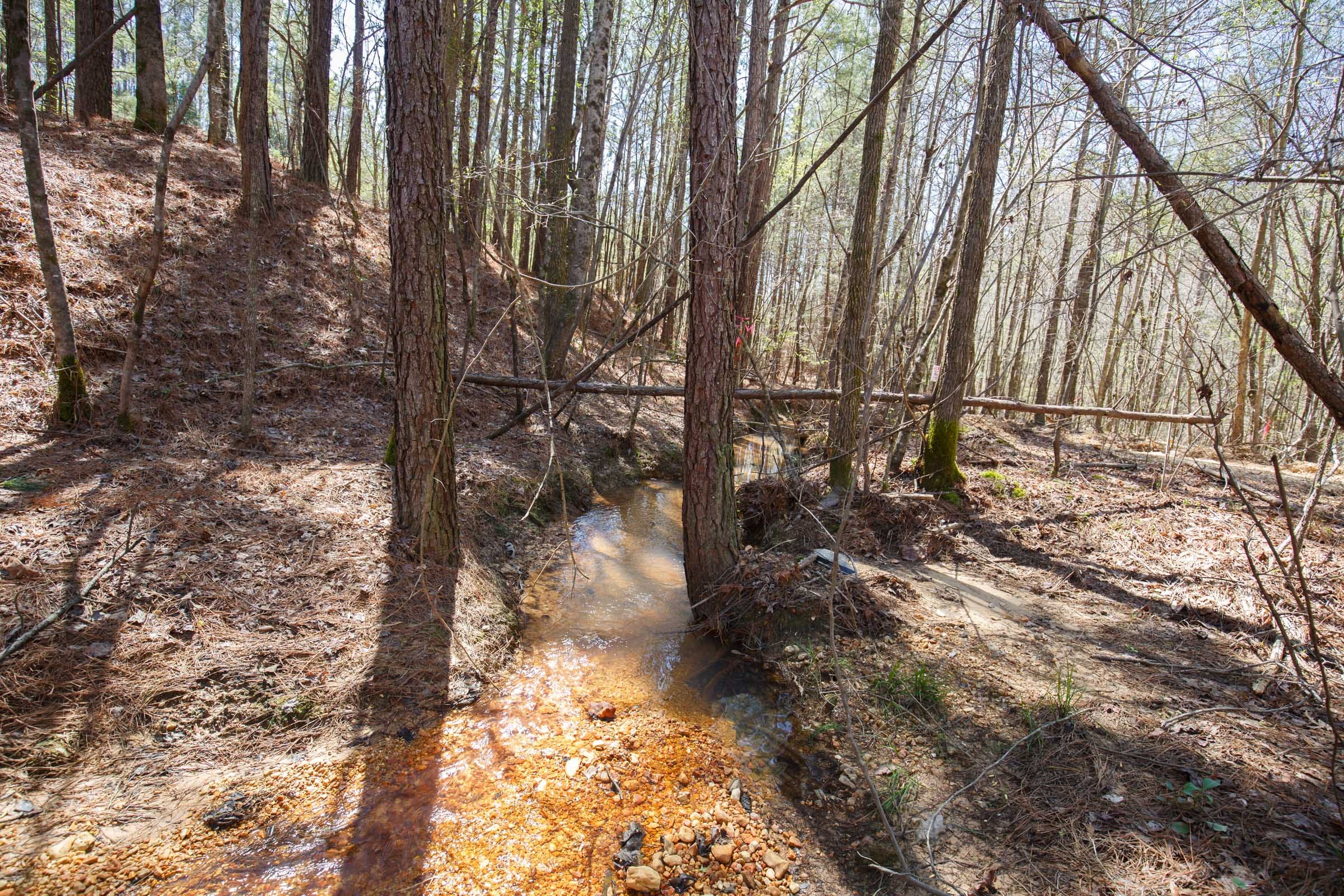 Southern Hills Tract 20 photo 8
