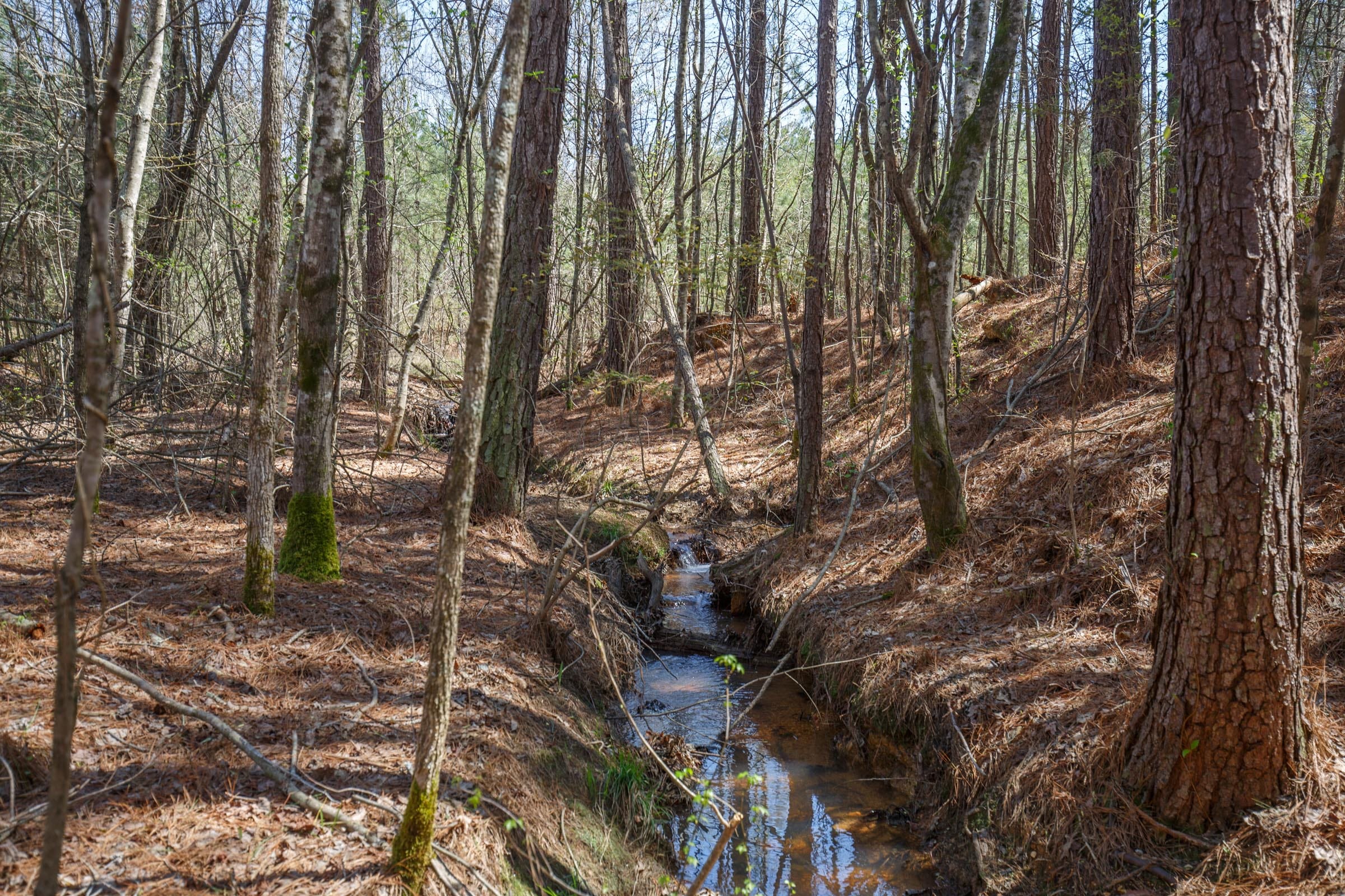 Southern Hills Tract 20 photo 9