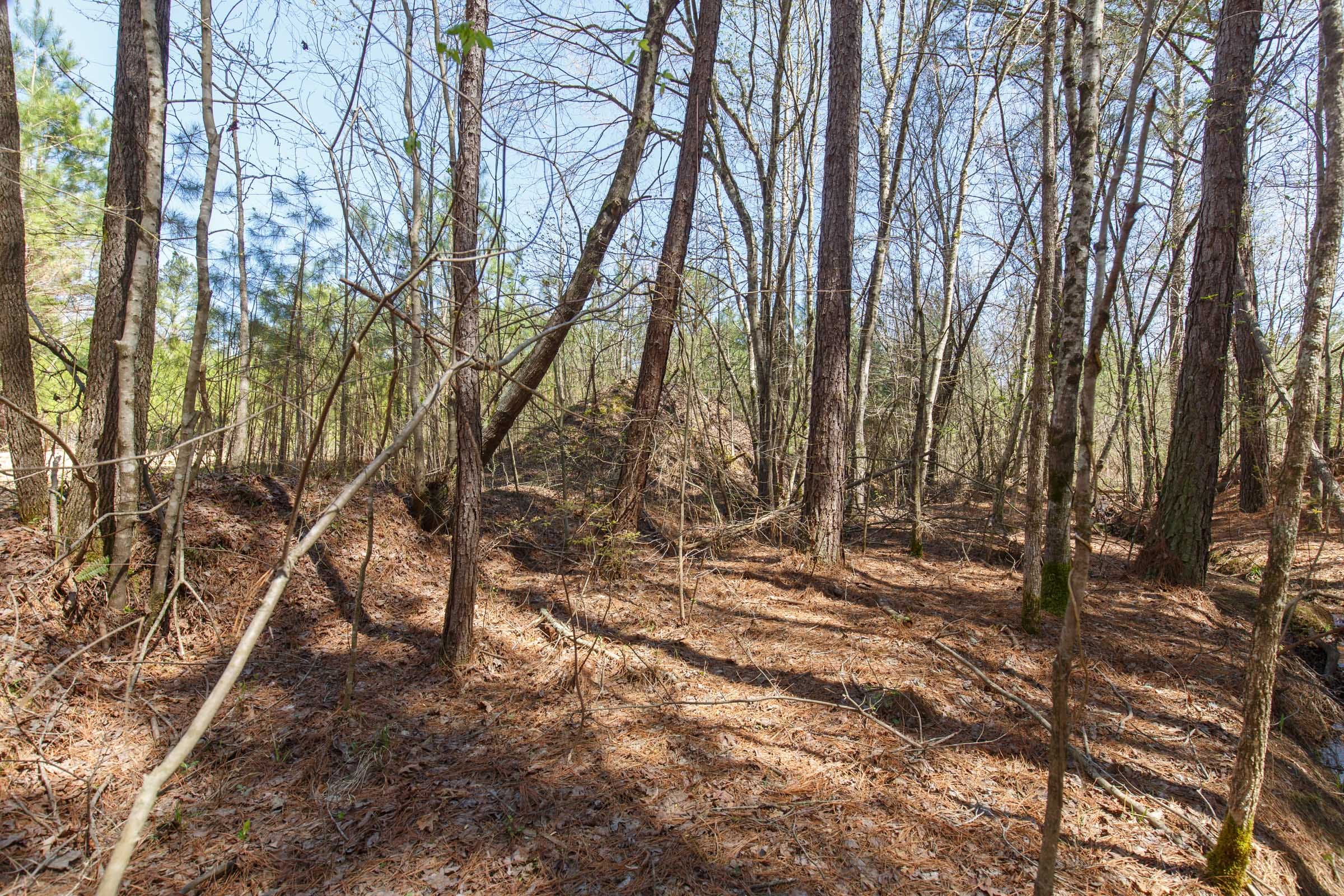 Southern Hills Tract 20 photo 11