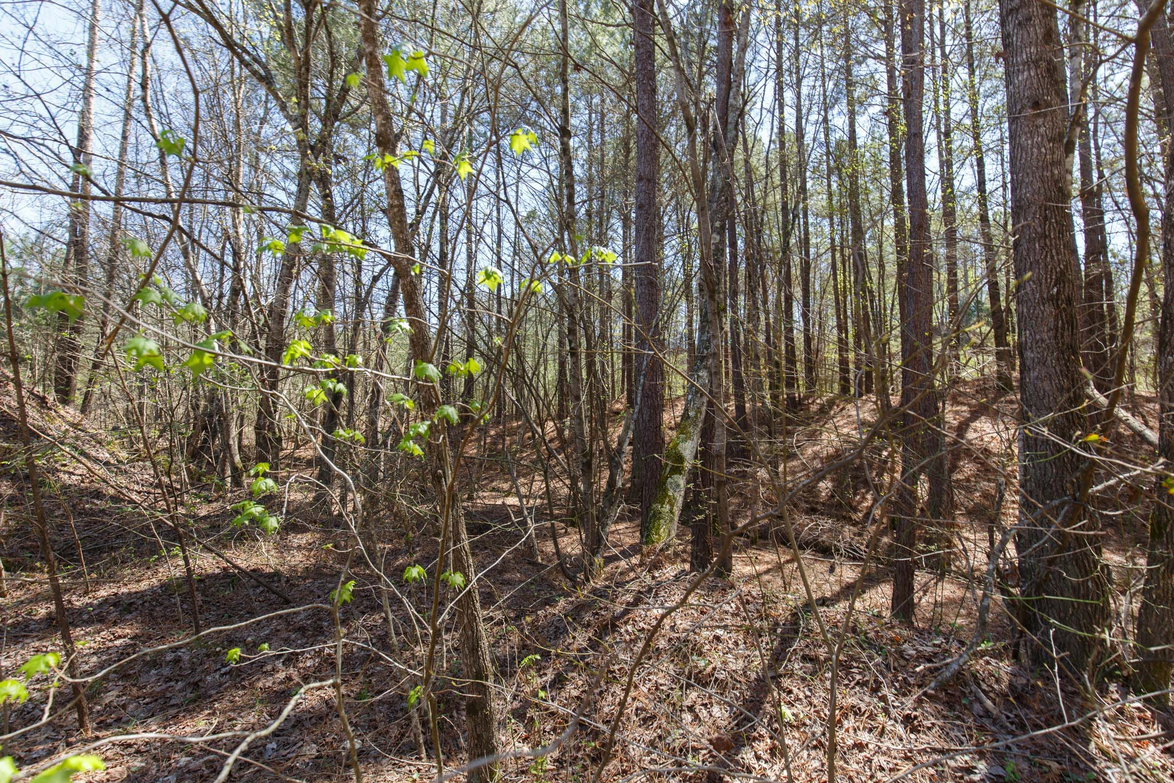 Southern Hills Tract 20 photo 12