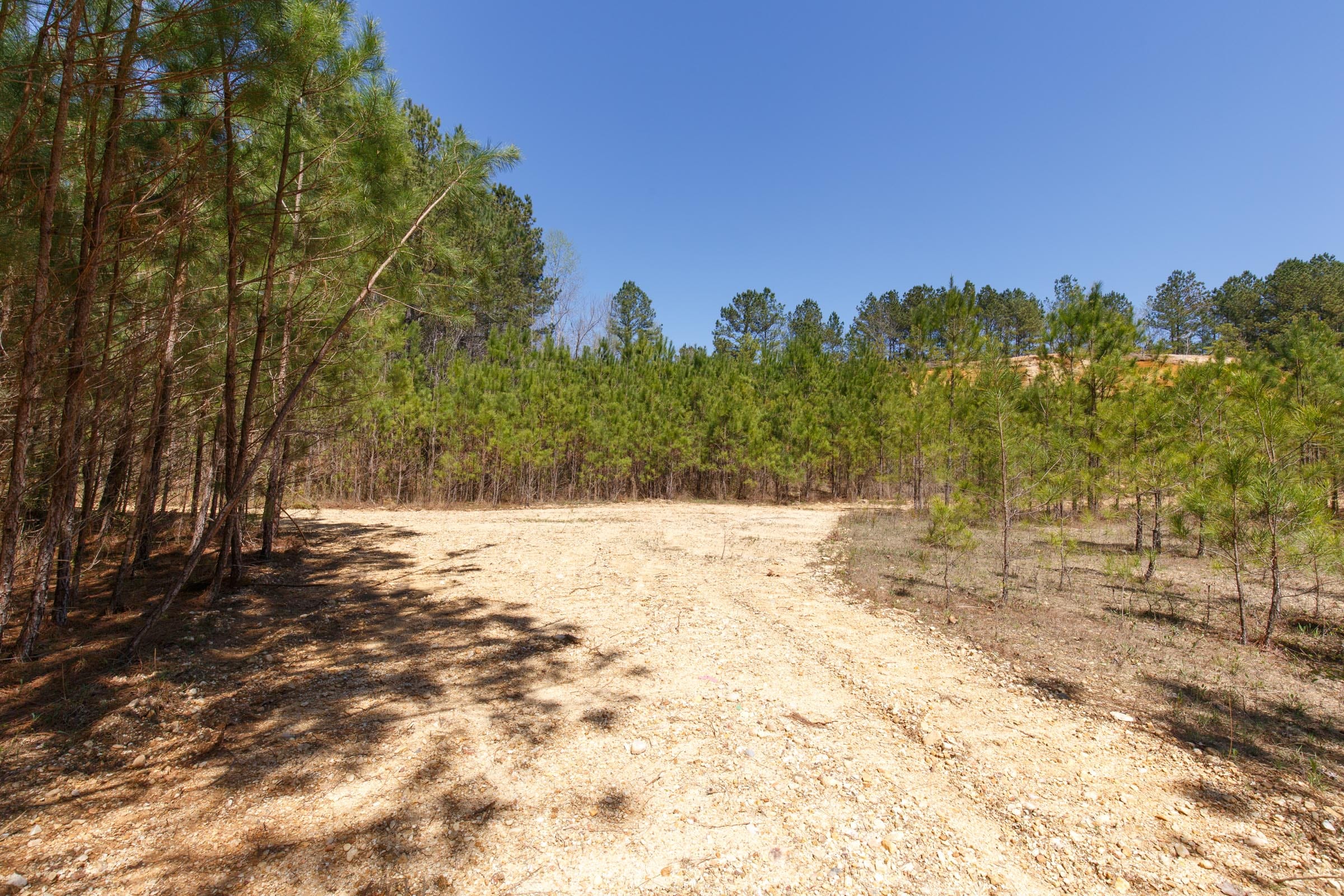 Southern Hills Tract 20 photo 10