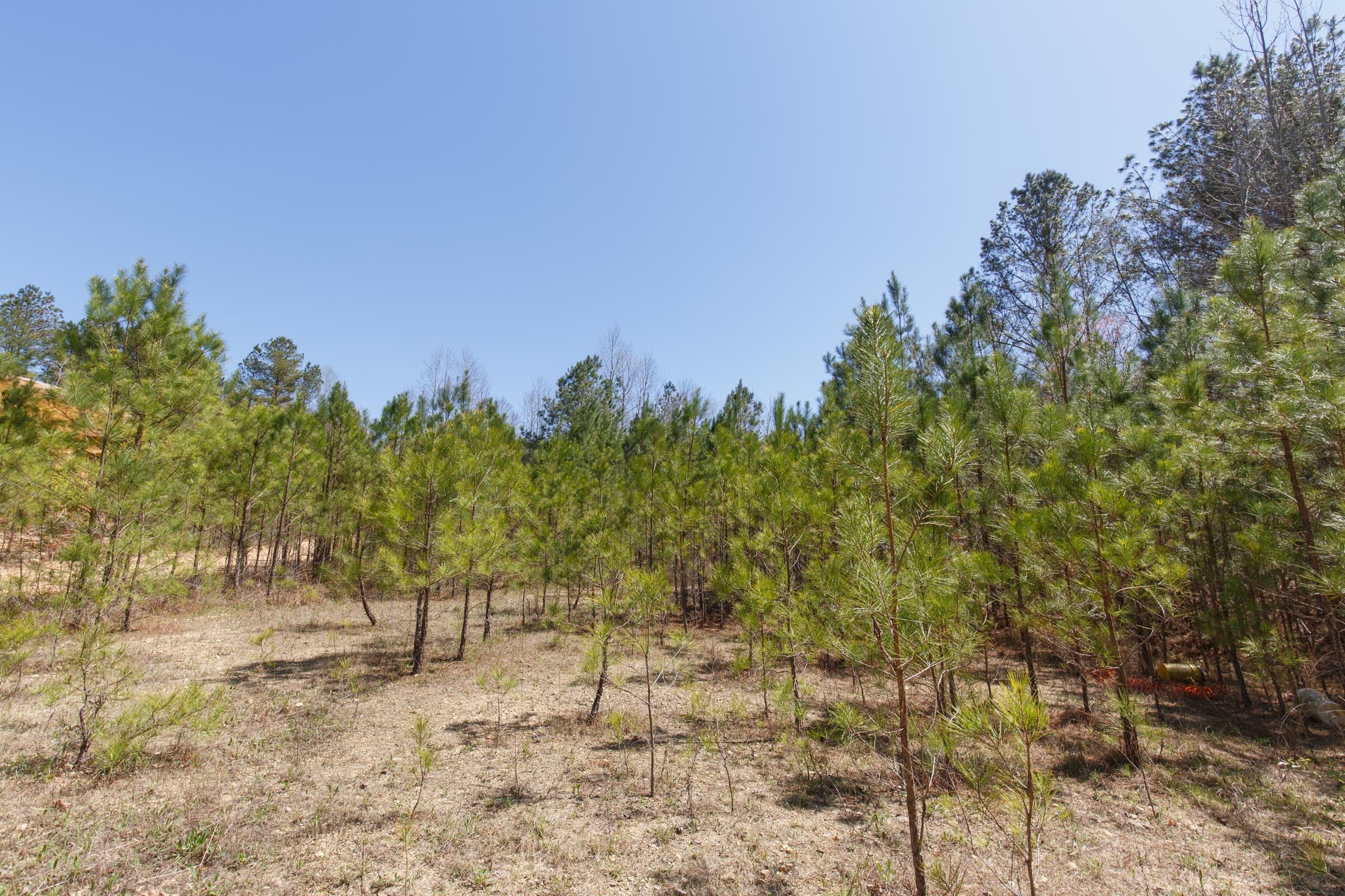 Southern Hills Tract 20 photo 14