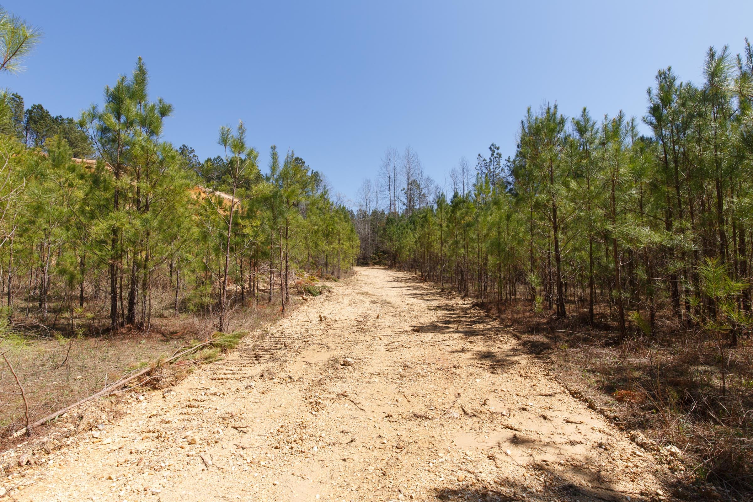 Southern Hills Tract 20 photo 18