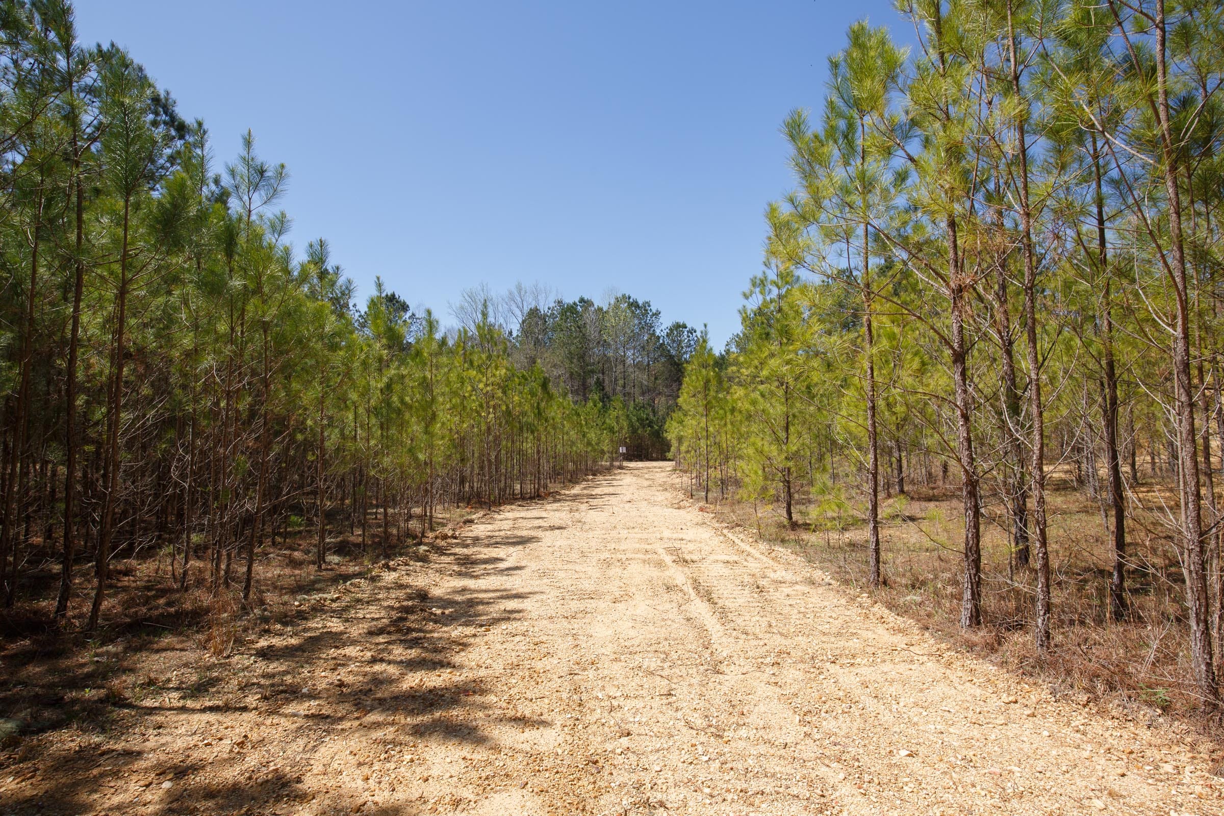 Southern Hills Tract 20 photo 26