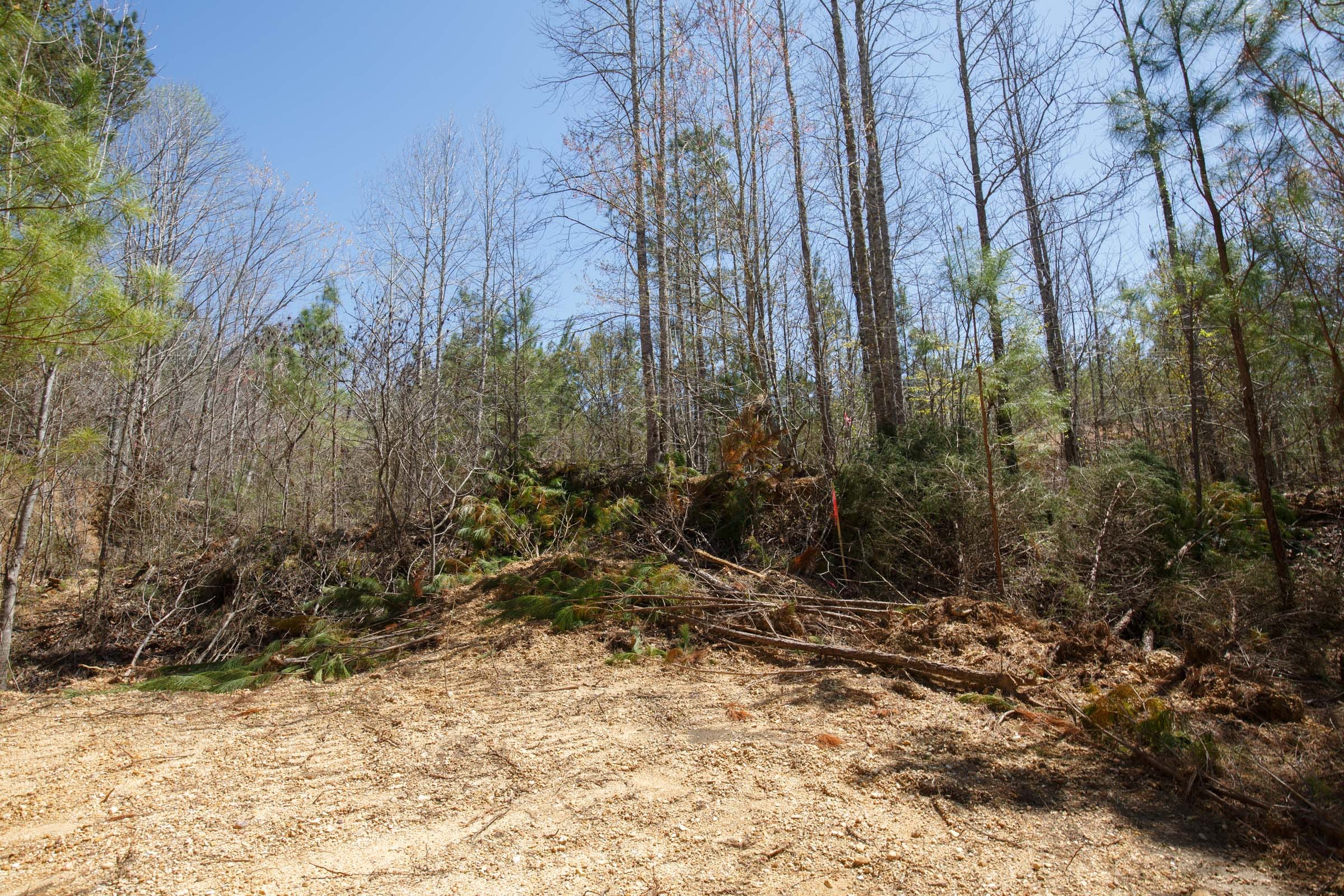 Southern Hills Tract 20 photo 21