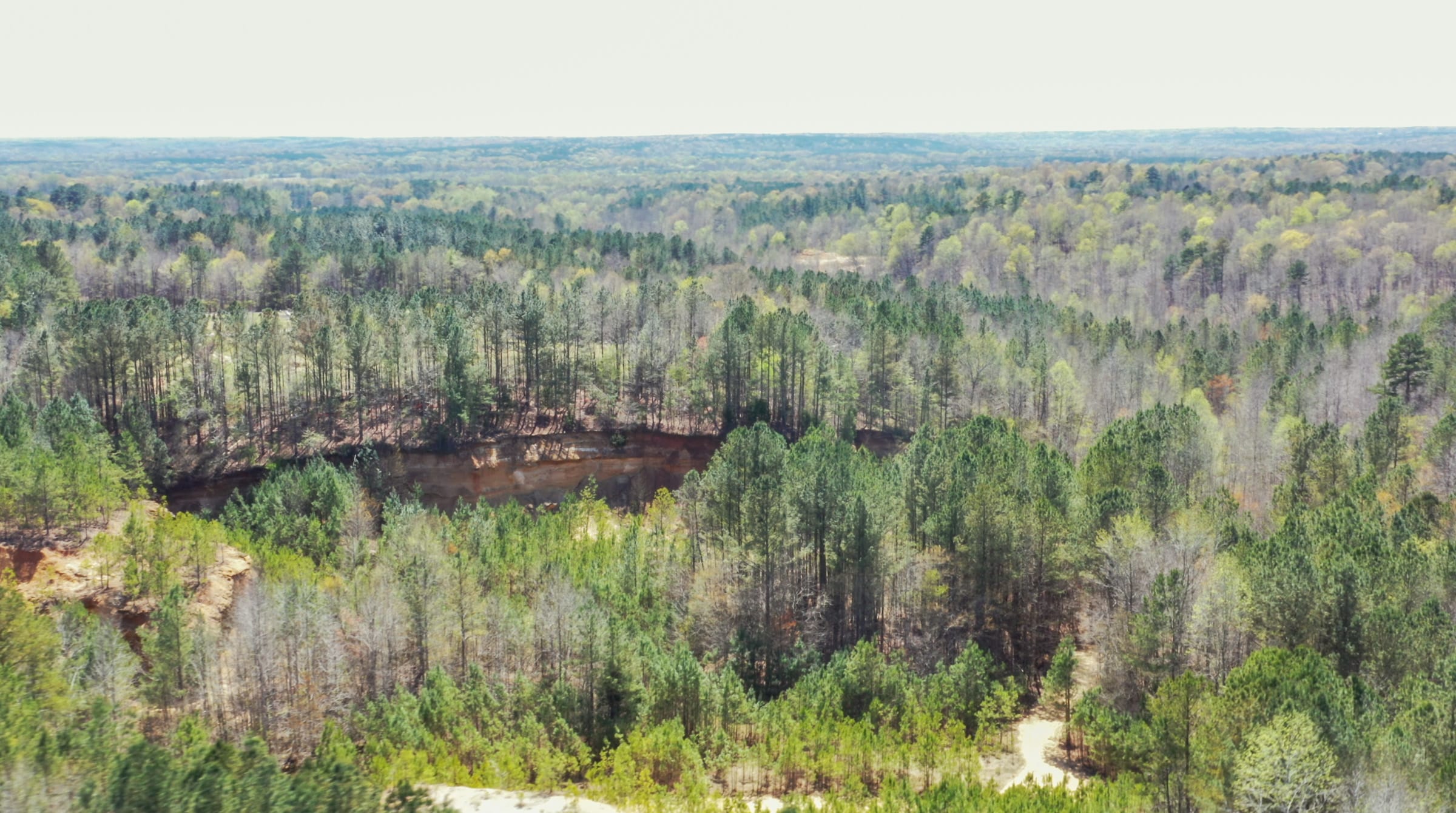 Southern Hills Tract 20 photo 25