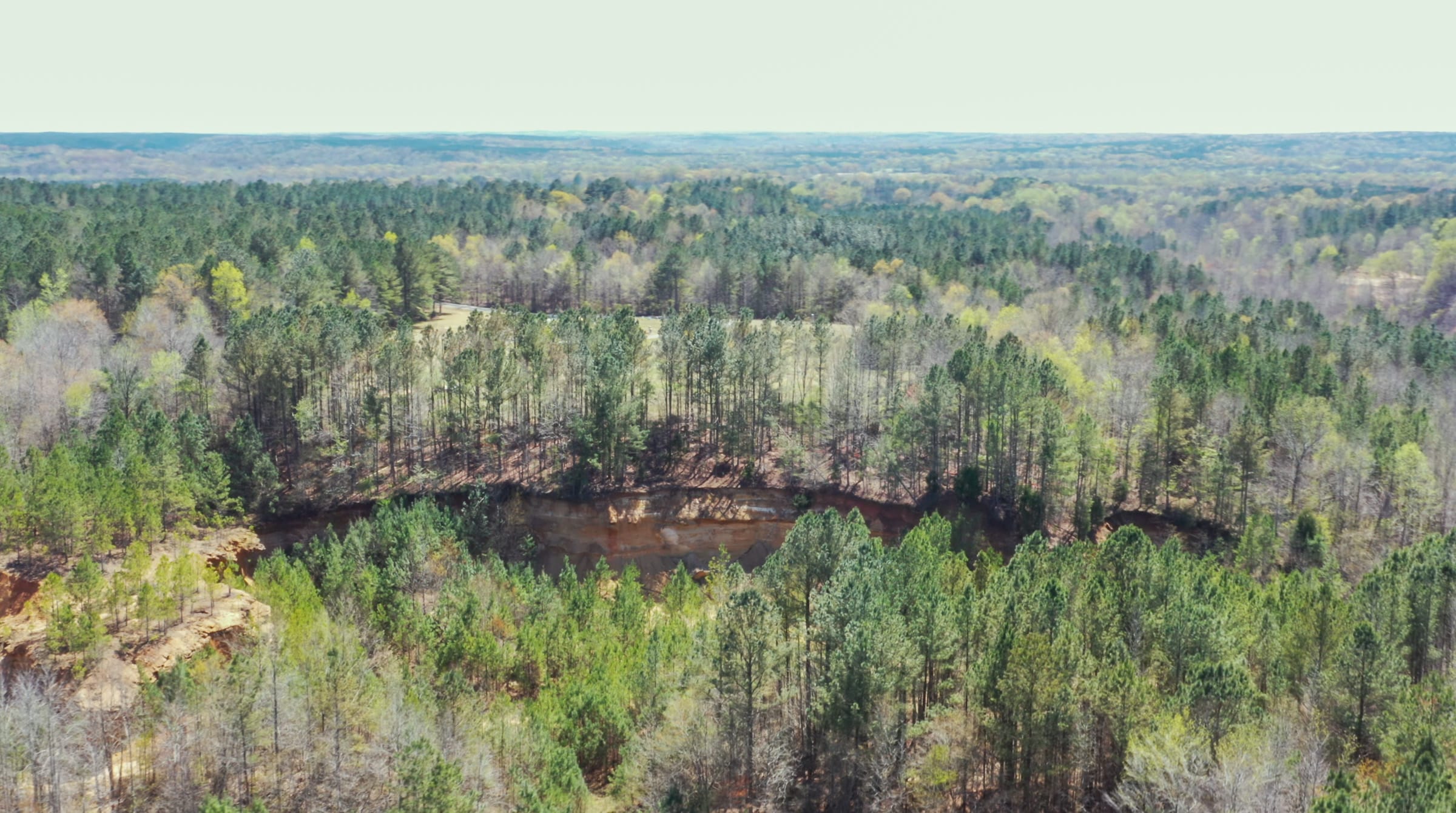 Southern Hills Tract 20 photo 27