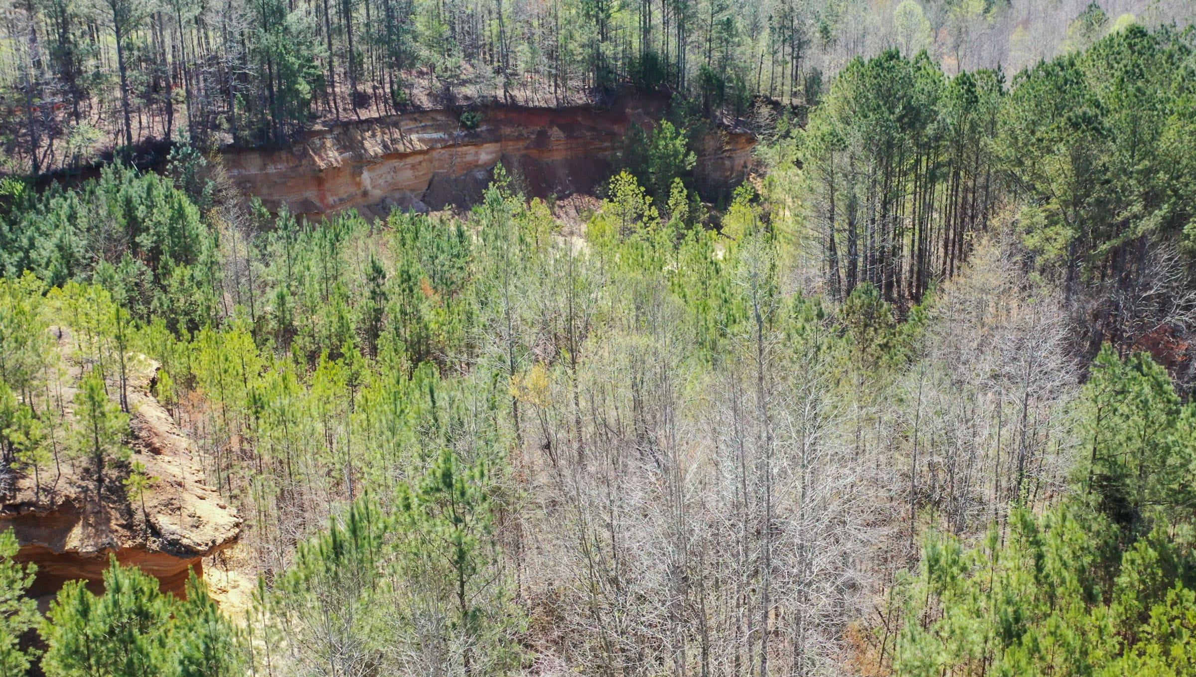 Southern Hills Tract 20 photo 29