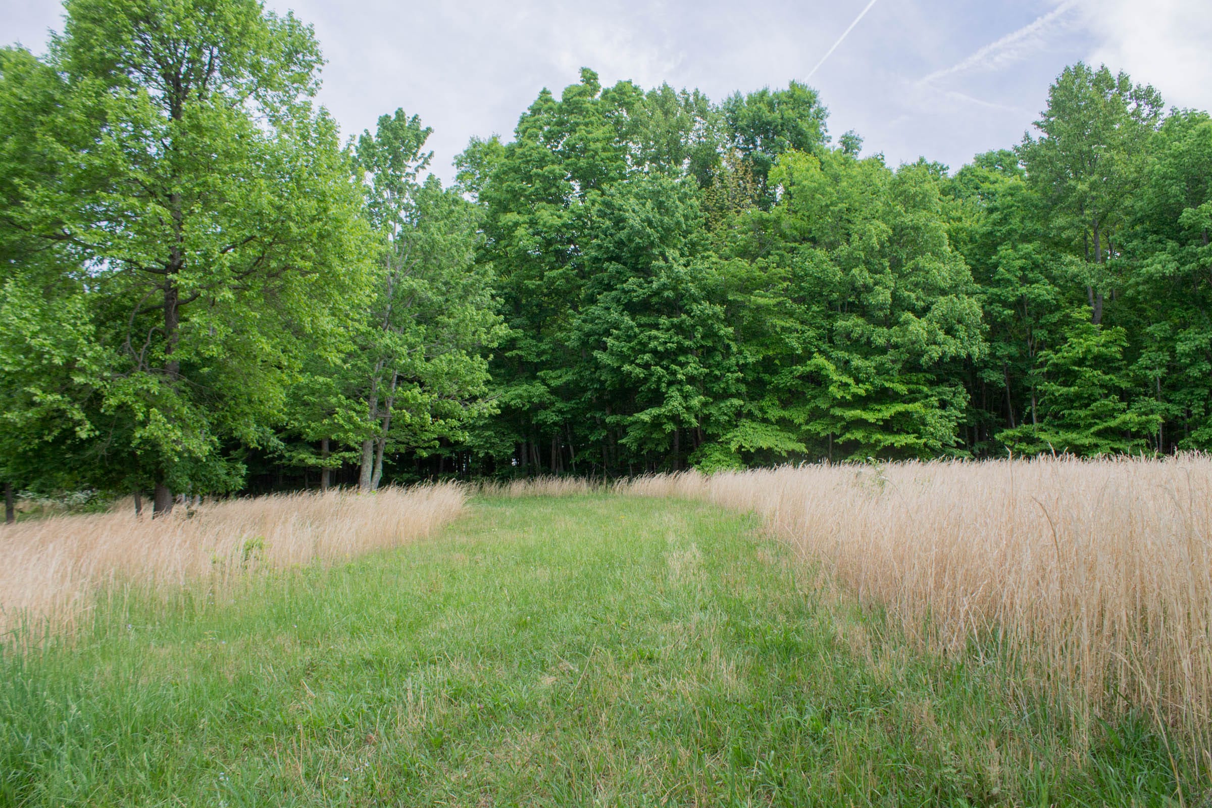 Laurel Ridge Tract 8 photo 1