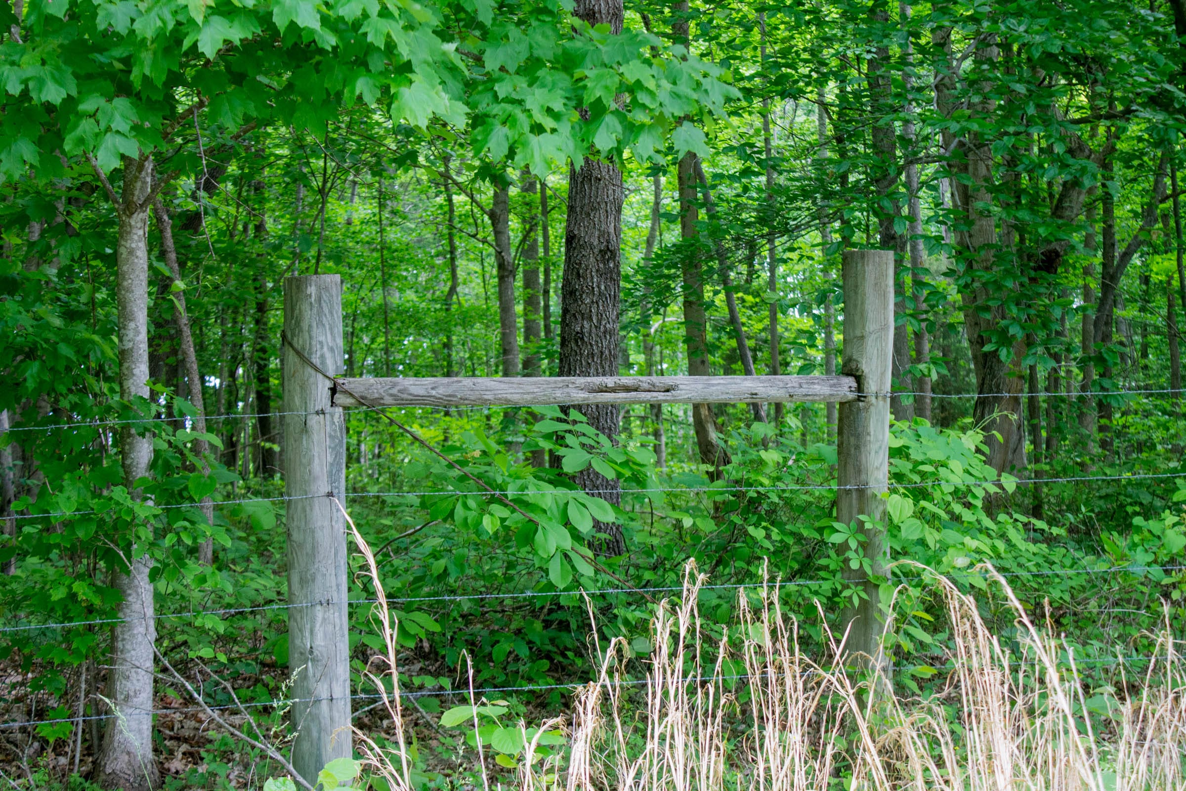 Laurel Ridge Tract 8 photo 8