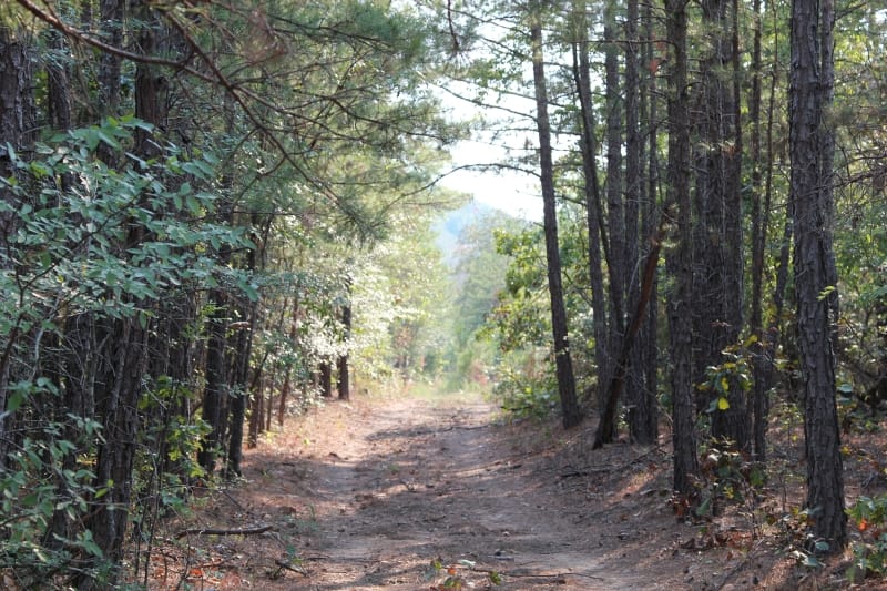 Lake View Ranch Tract 26 photo 1