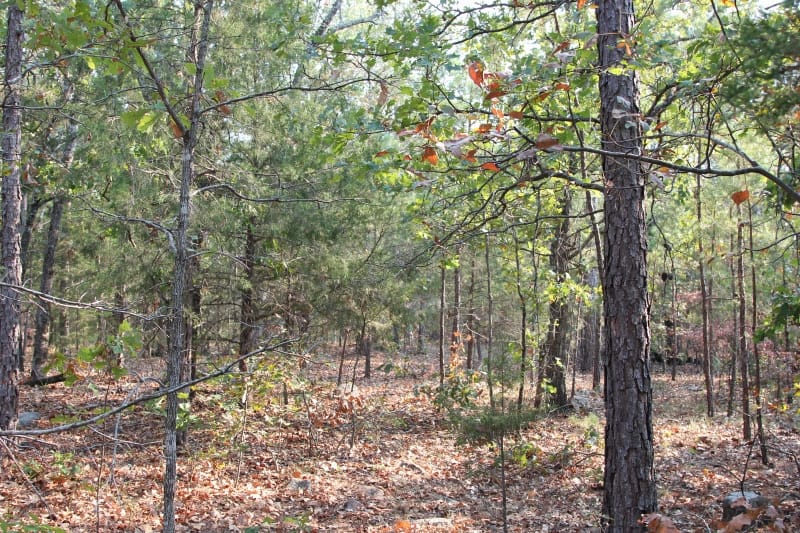 Lake View Ranch Tract 26 photo 3