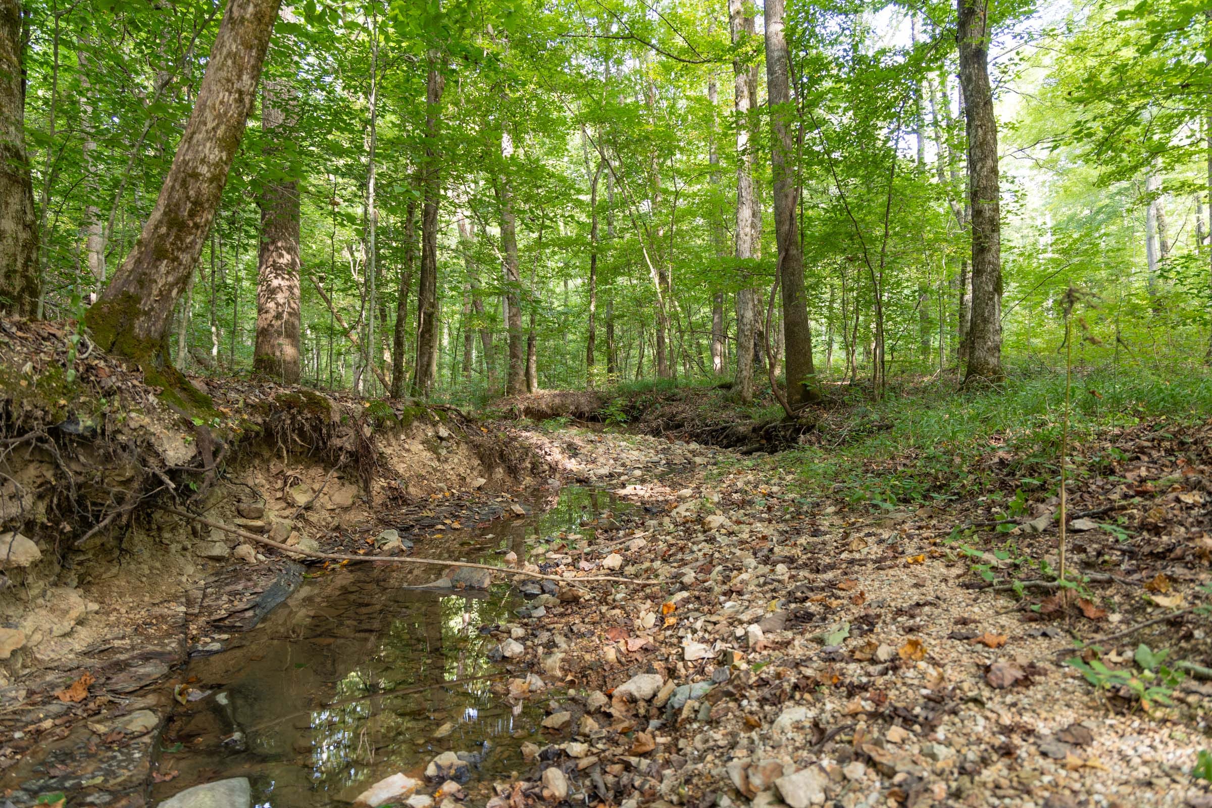 Big White Oak Tract 137 photo 8