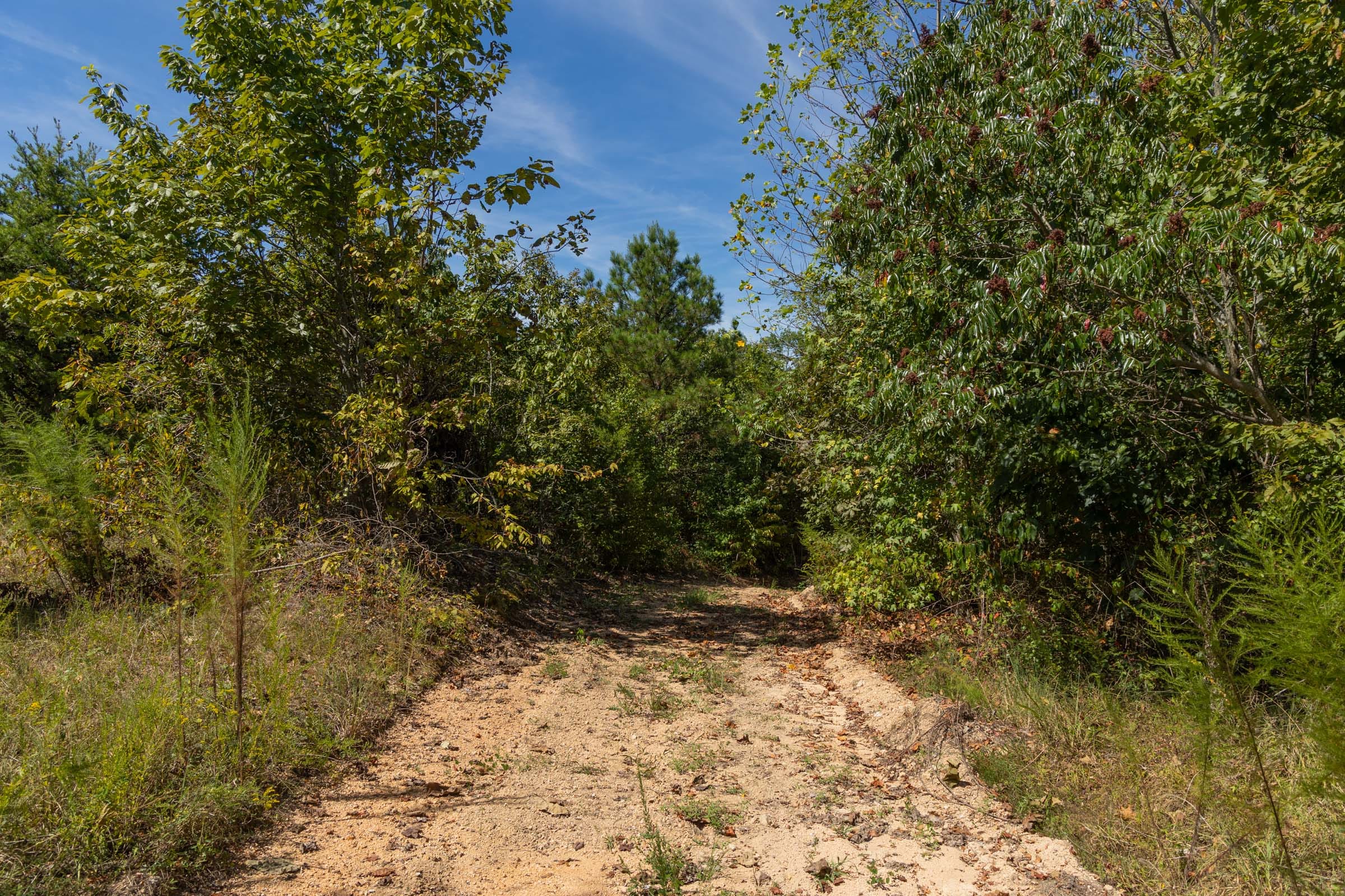 Big White Oak Tract 137 photo 6