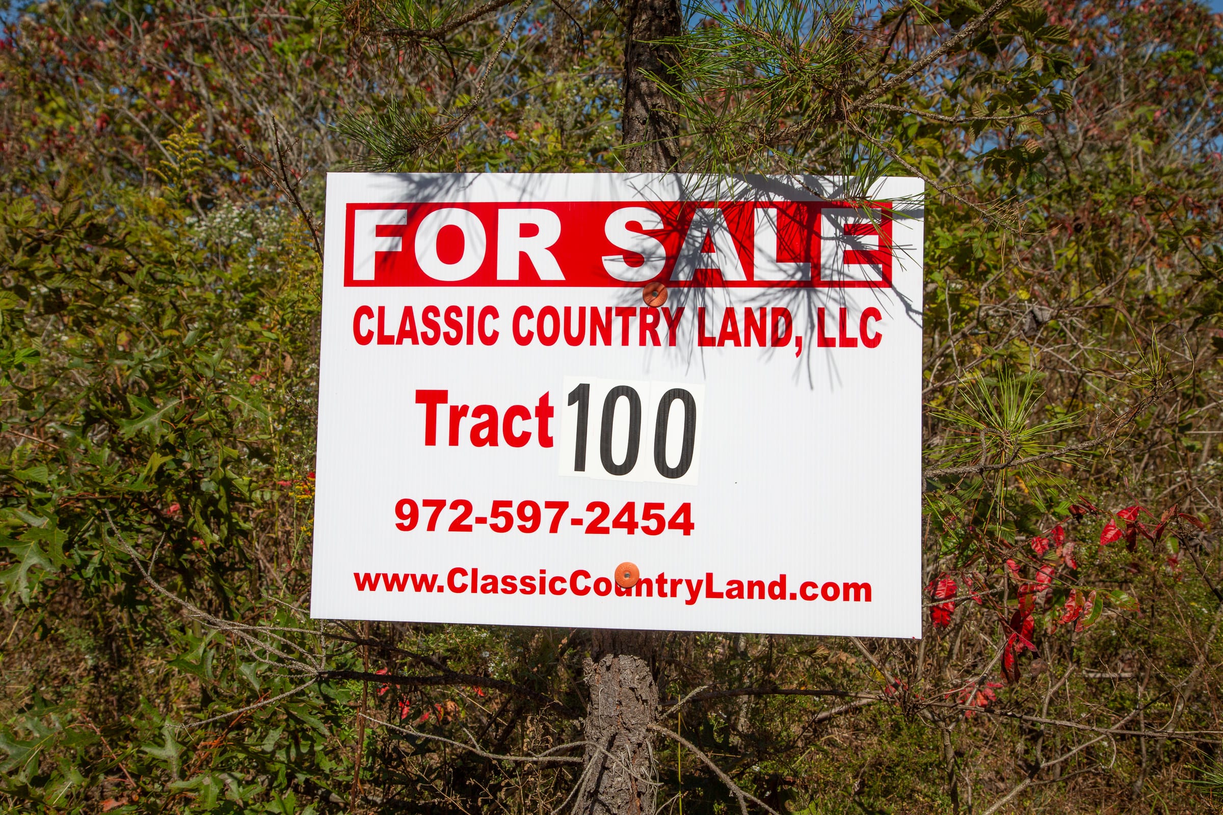 Borgmann’s Hollow Phase III Tract 100 photo 1