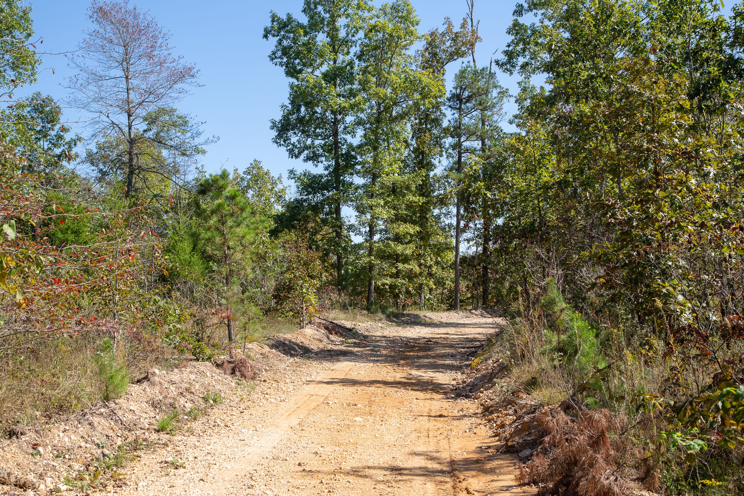 Borgmann’s Hollow Phase III Tract 100 photo 2