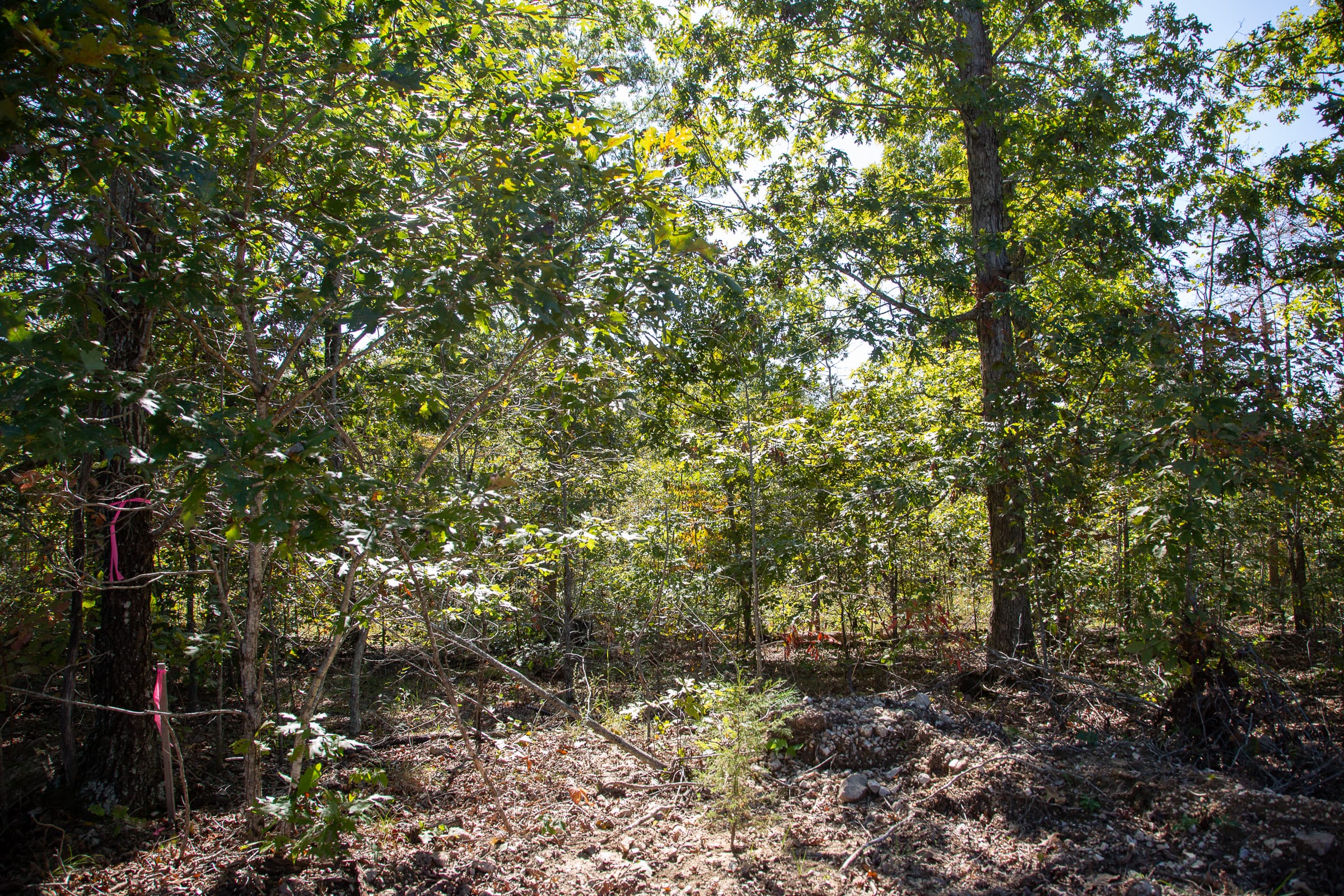 Borgmann’s Hollow Phase III Tract 100 photo 9