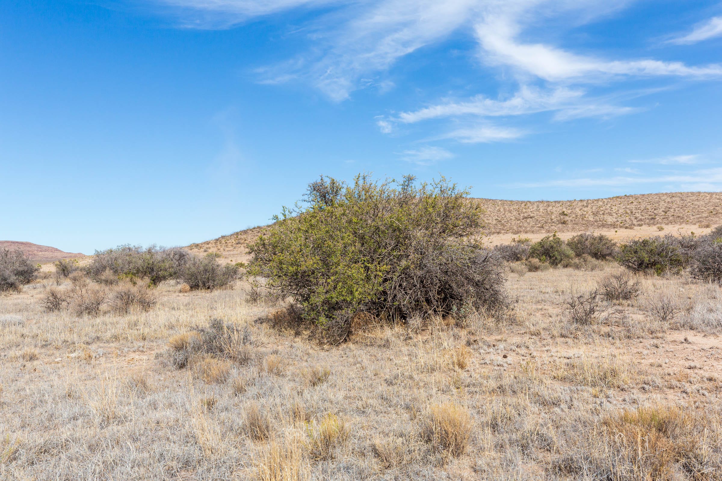 Sunrise Ranches Phase III Tract 96 photo 2