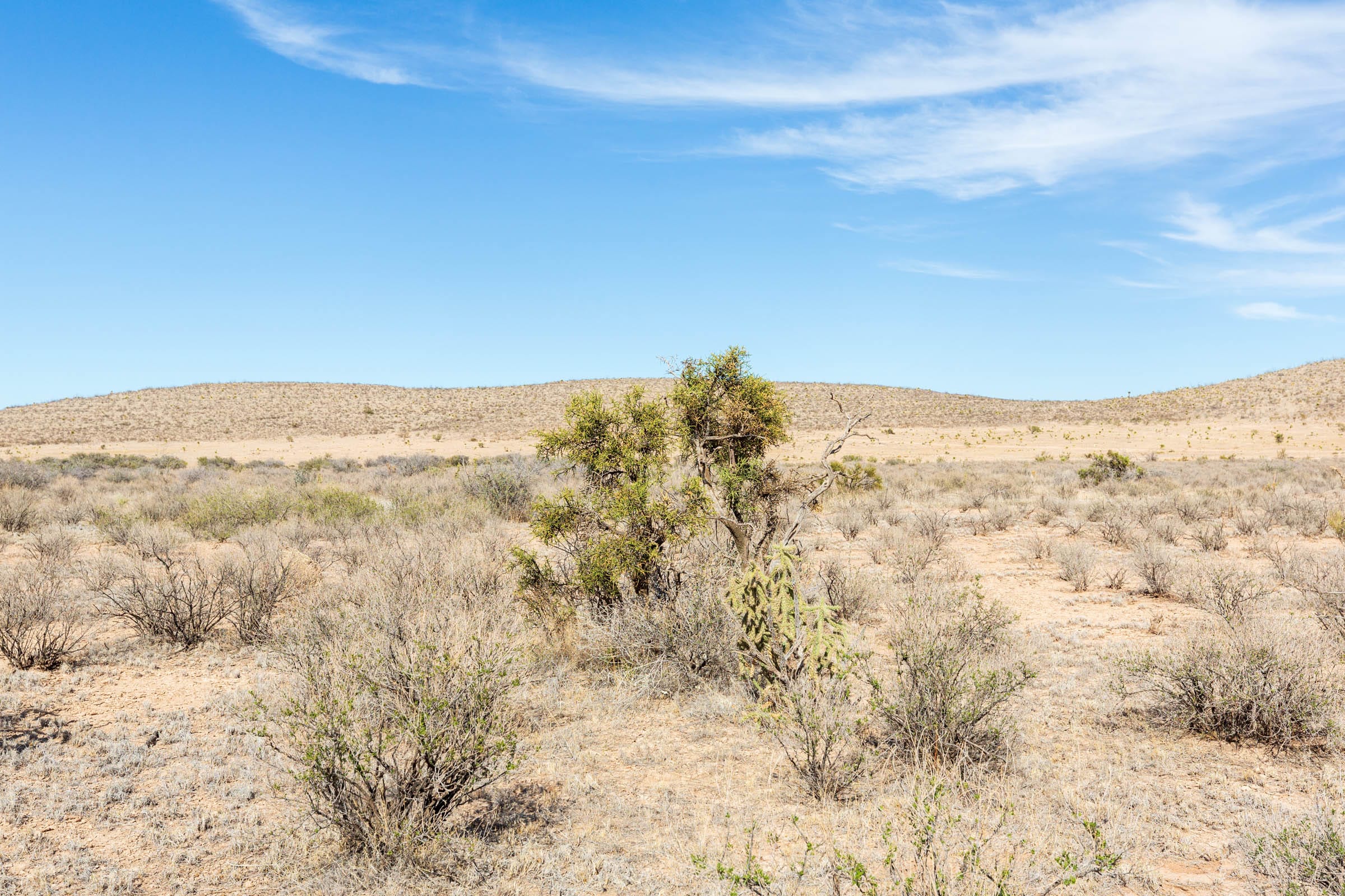 Sunrise Ranches Phase III Tract 96 photo 12