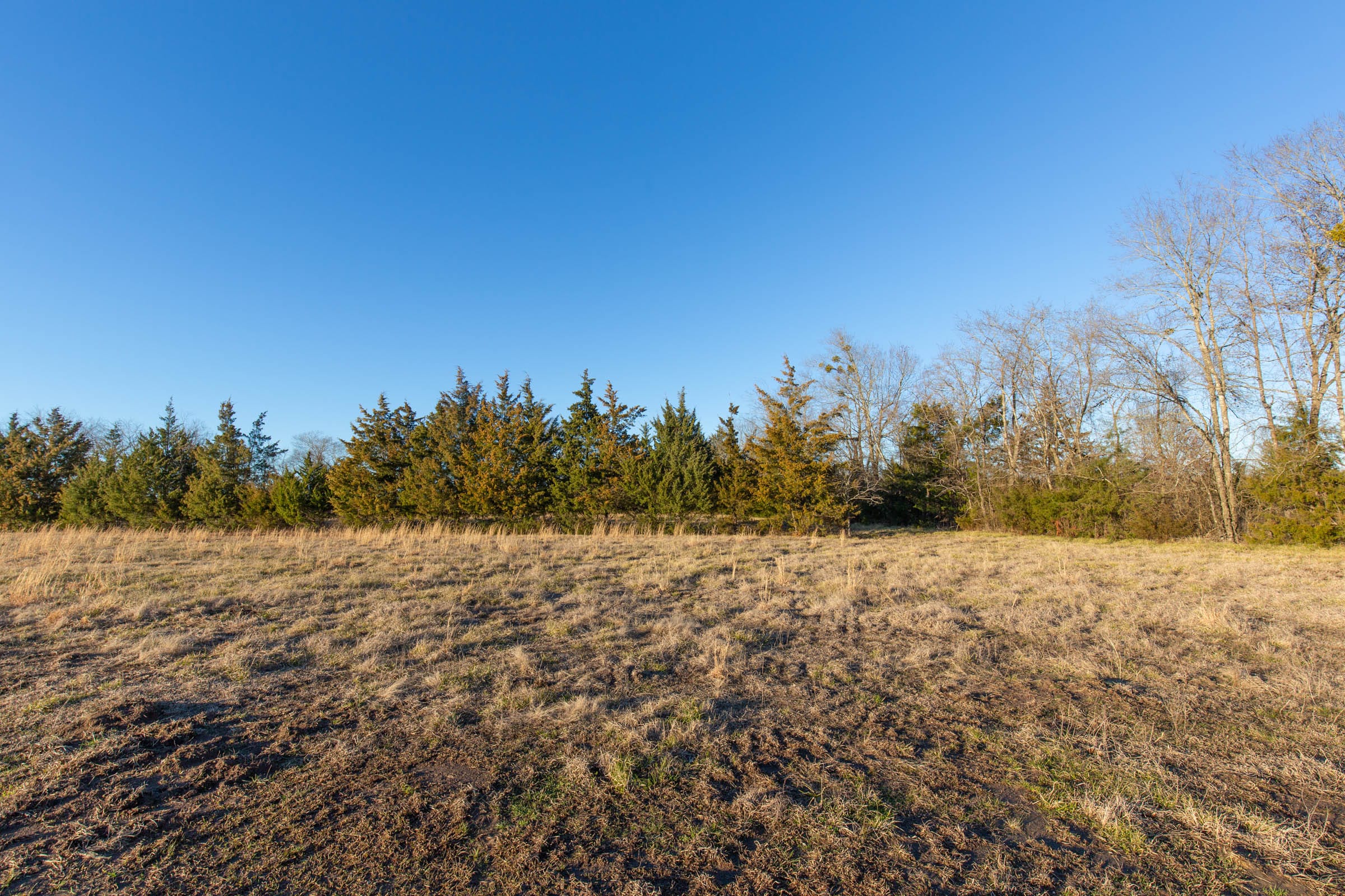 Wishing Star Ranch Tract 72 photo 3